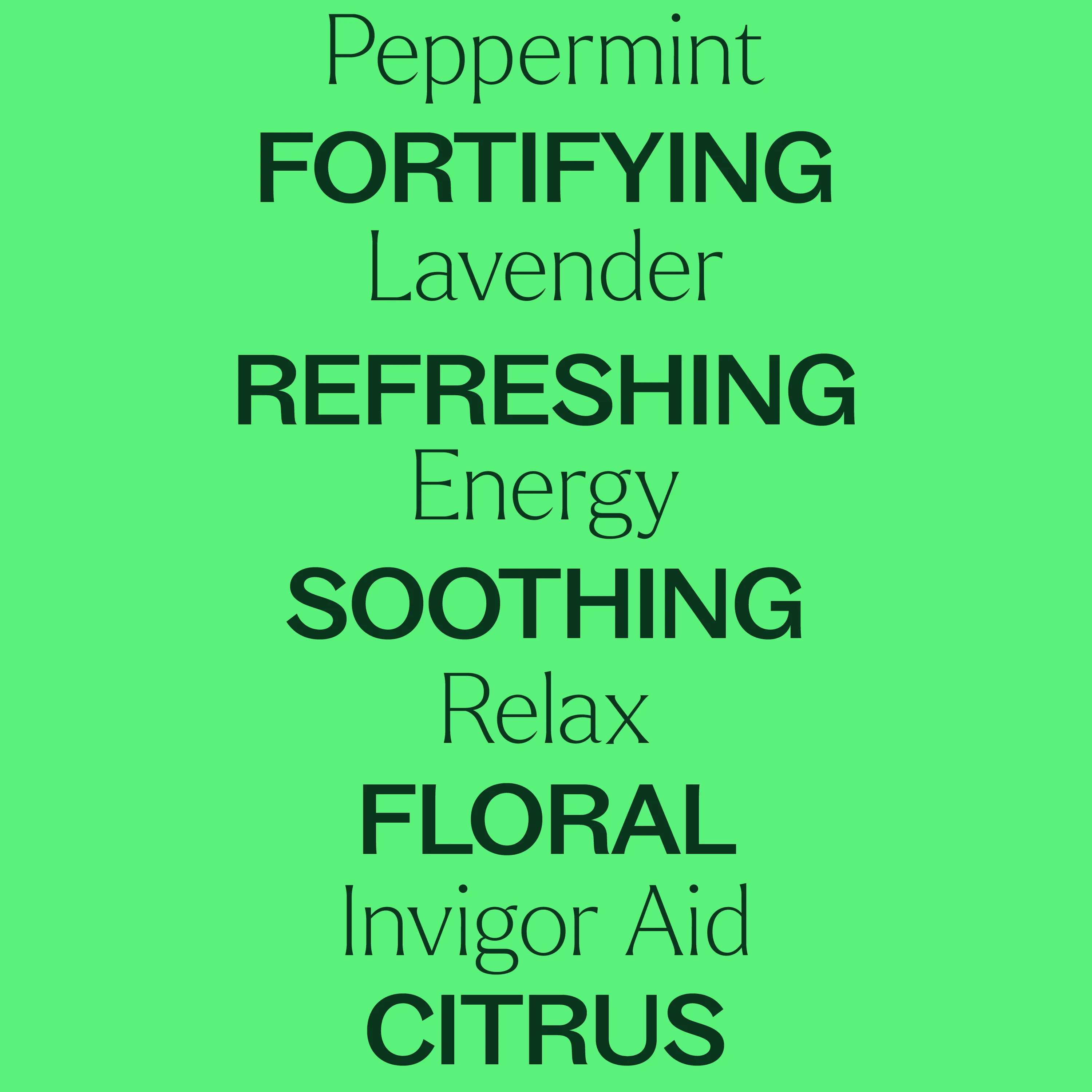 7 & 7 Essential Oil Set - Image 4