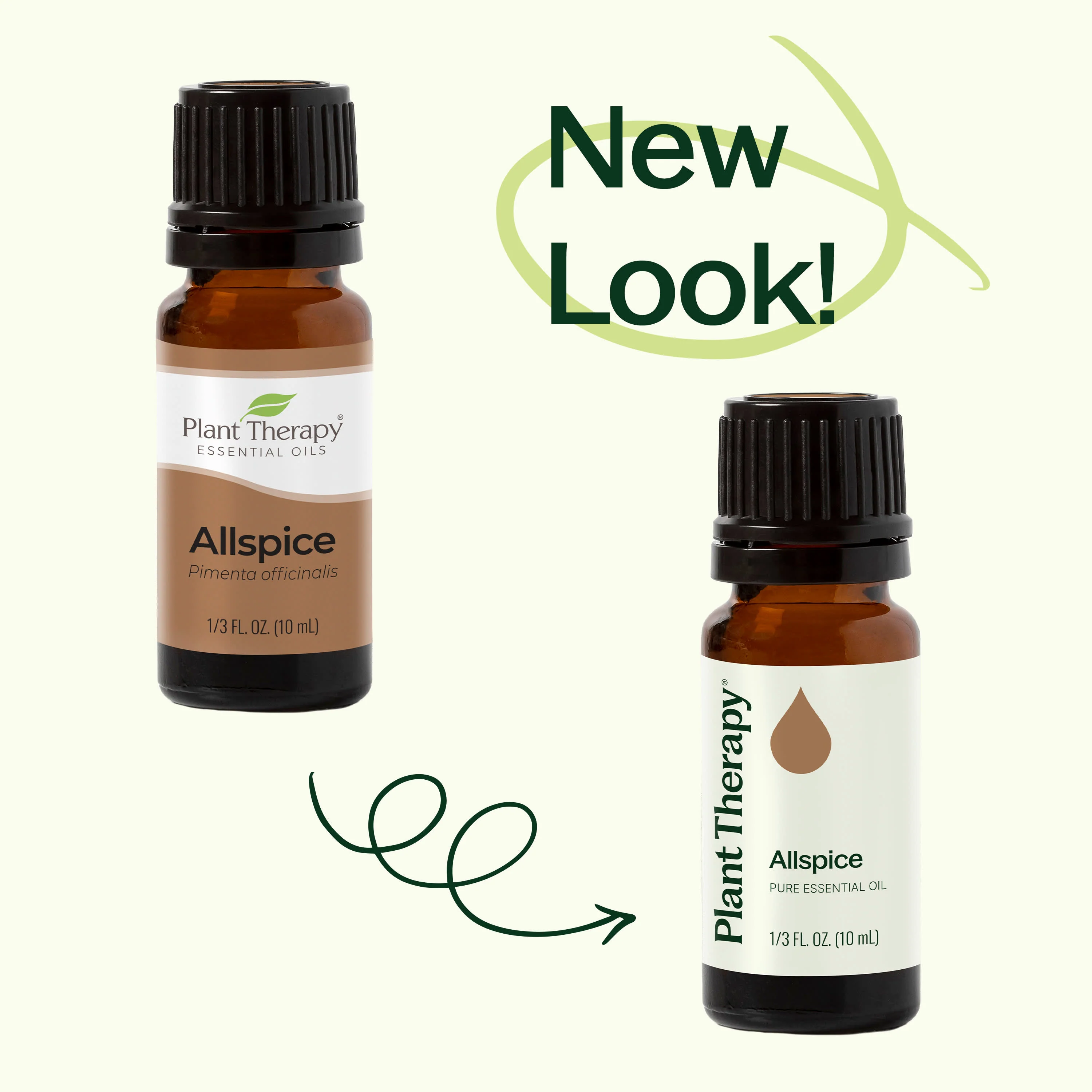 Allspice Essential Oil - Image 3
