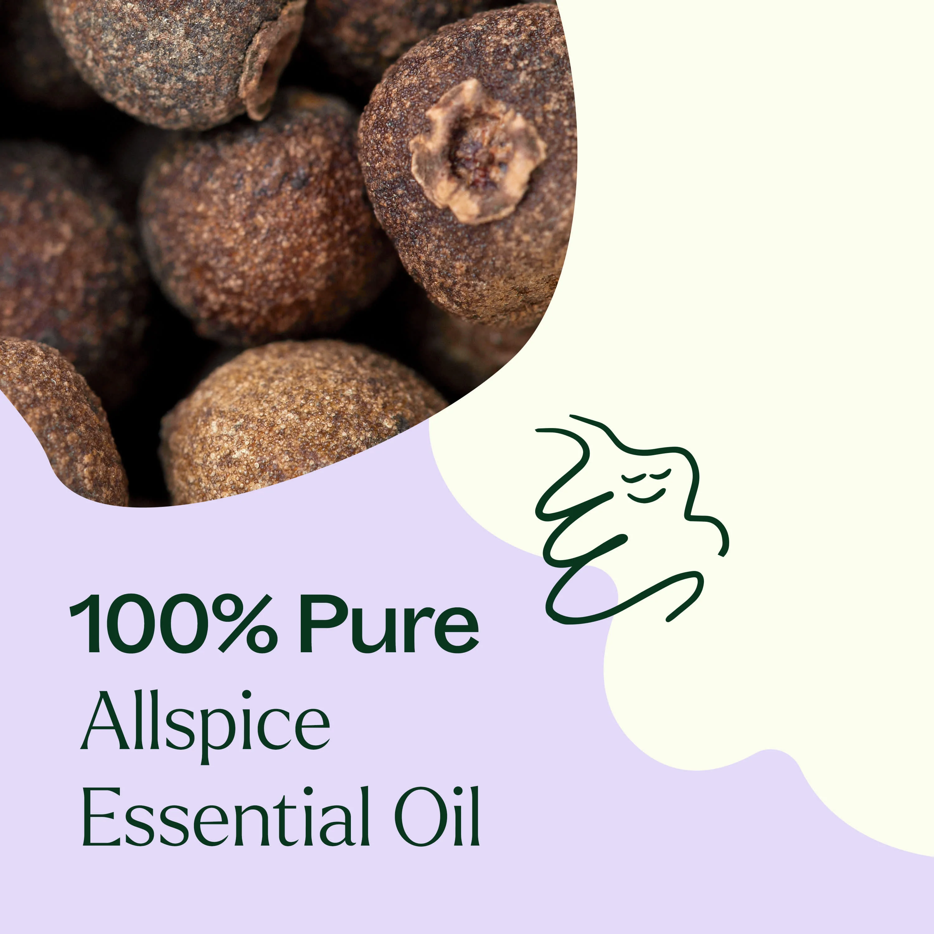 Allspice Essential Oil - Image 5
