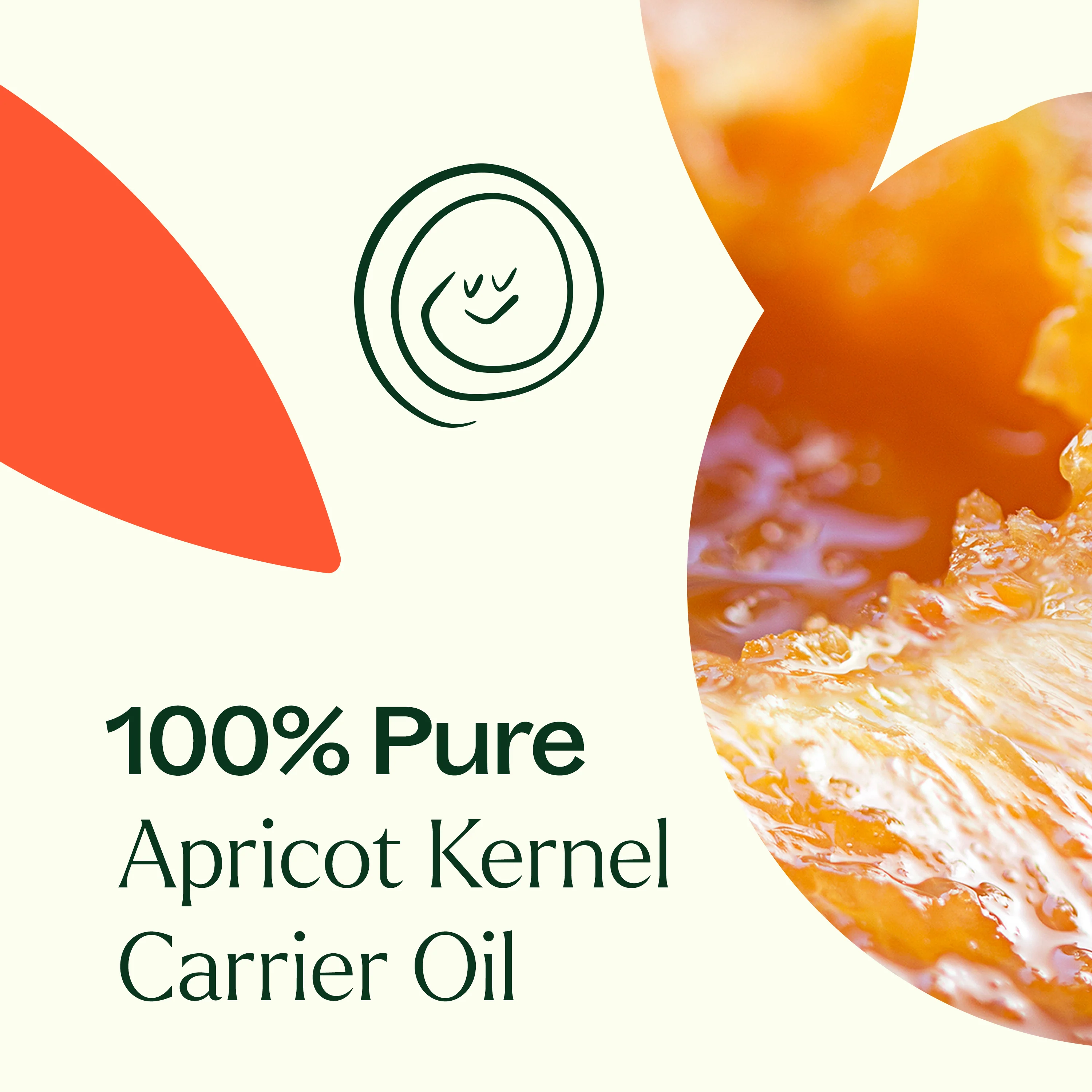 Apricot Kernel Carrier Oil - Image 5