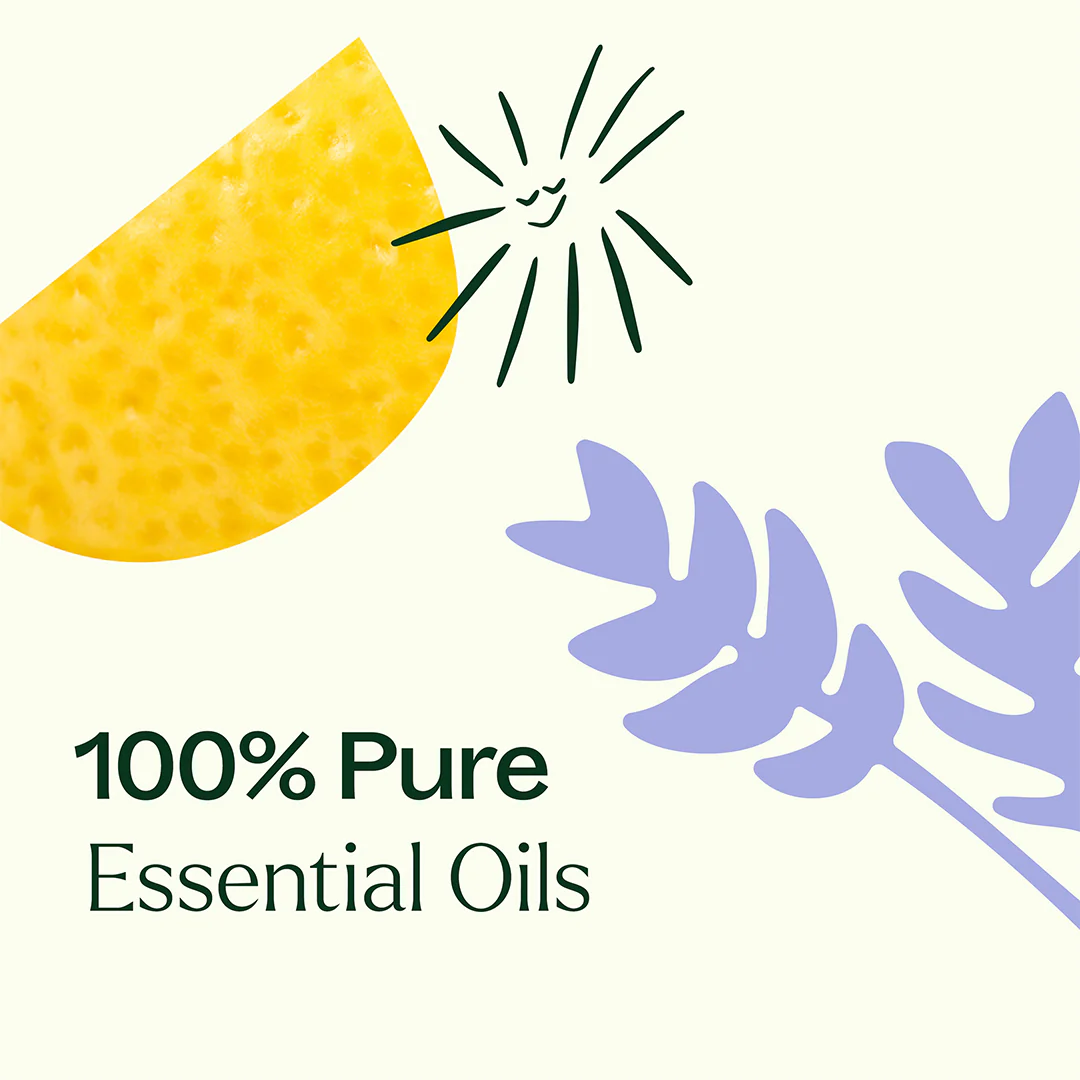 Aromatherapy Starter Bundle - Image 11