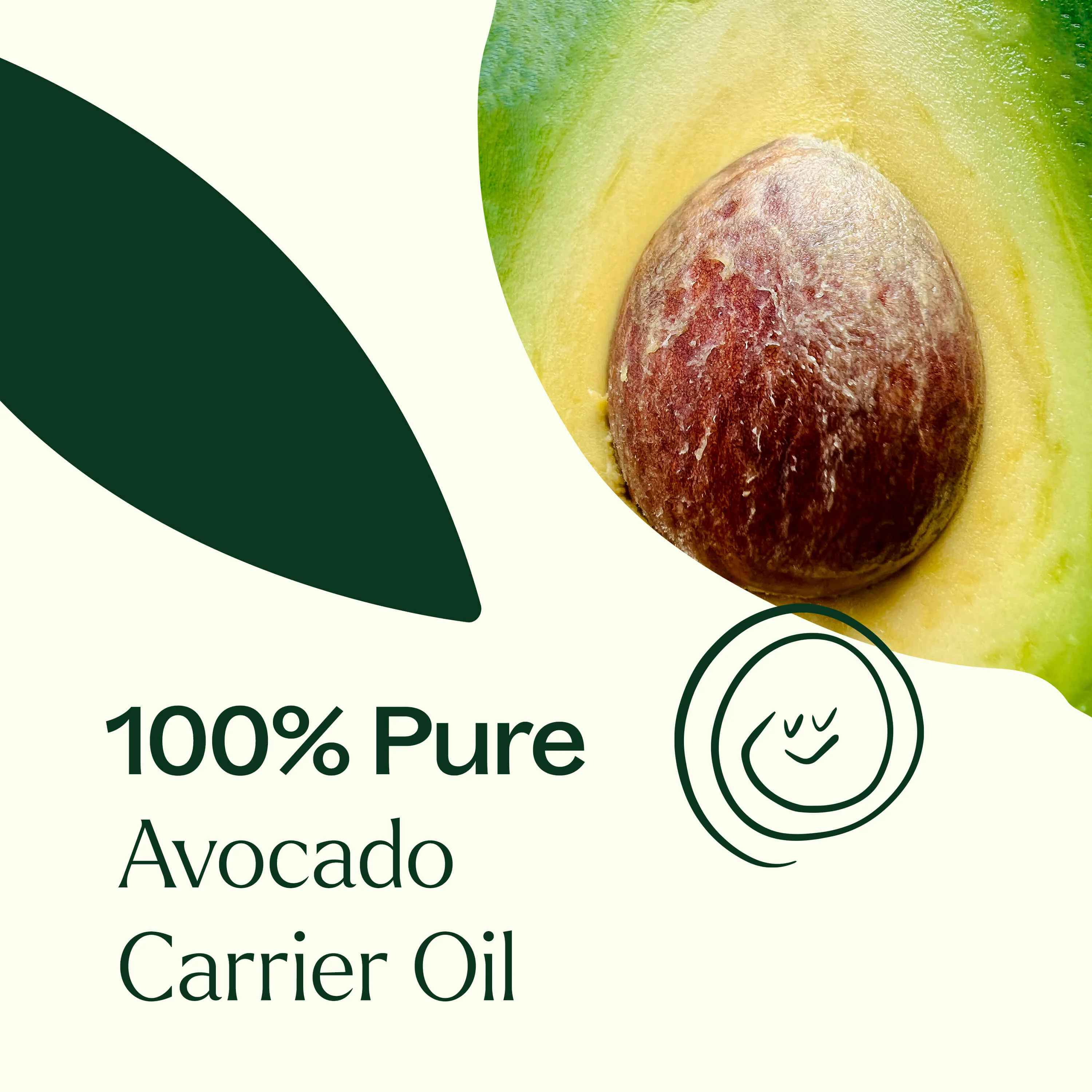 Avocado Carrier Oil - Image 8