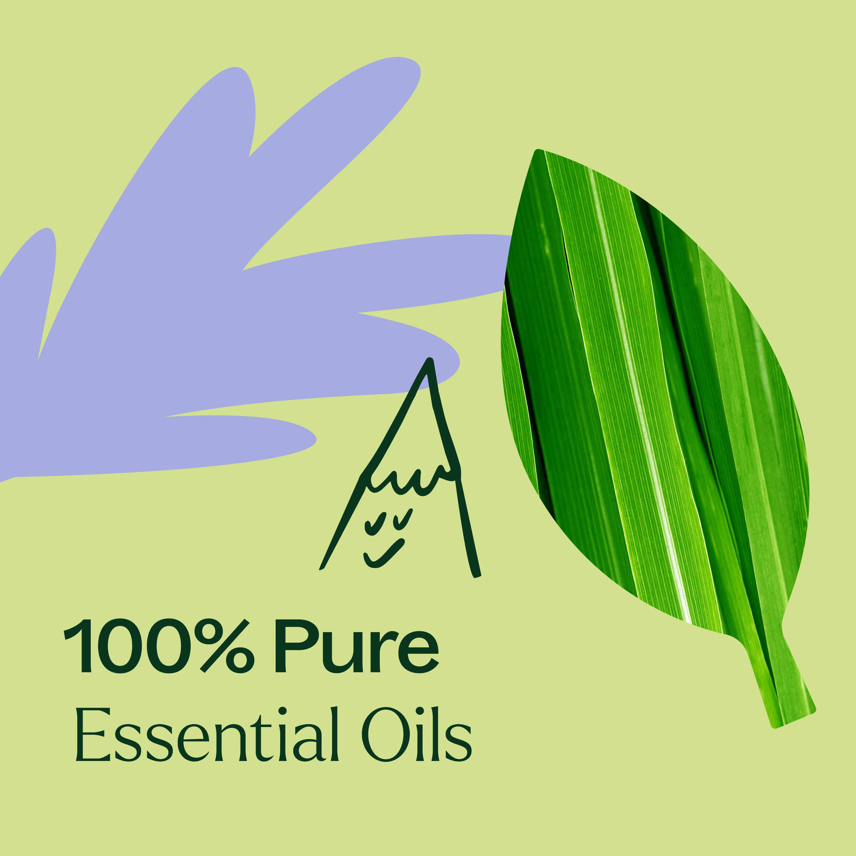 Balance Essential Oil Blend - Image 4