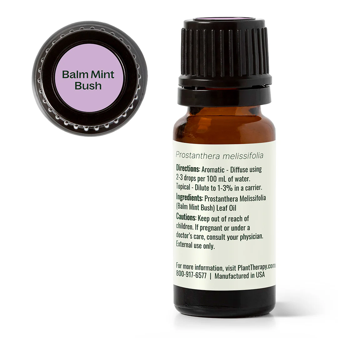 Balm Mint Bush Essential Oil - Image 11