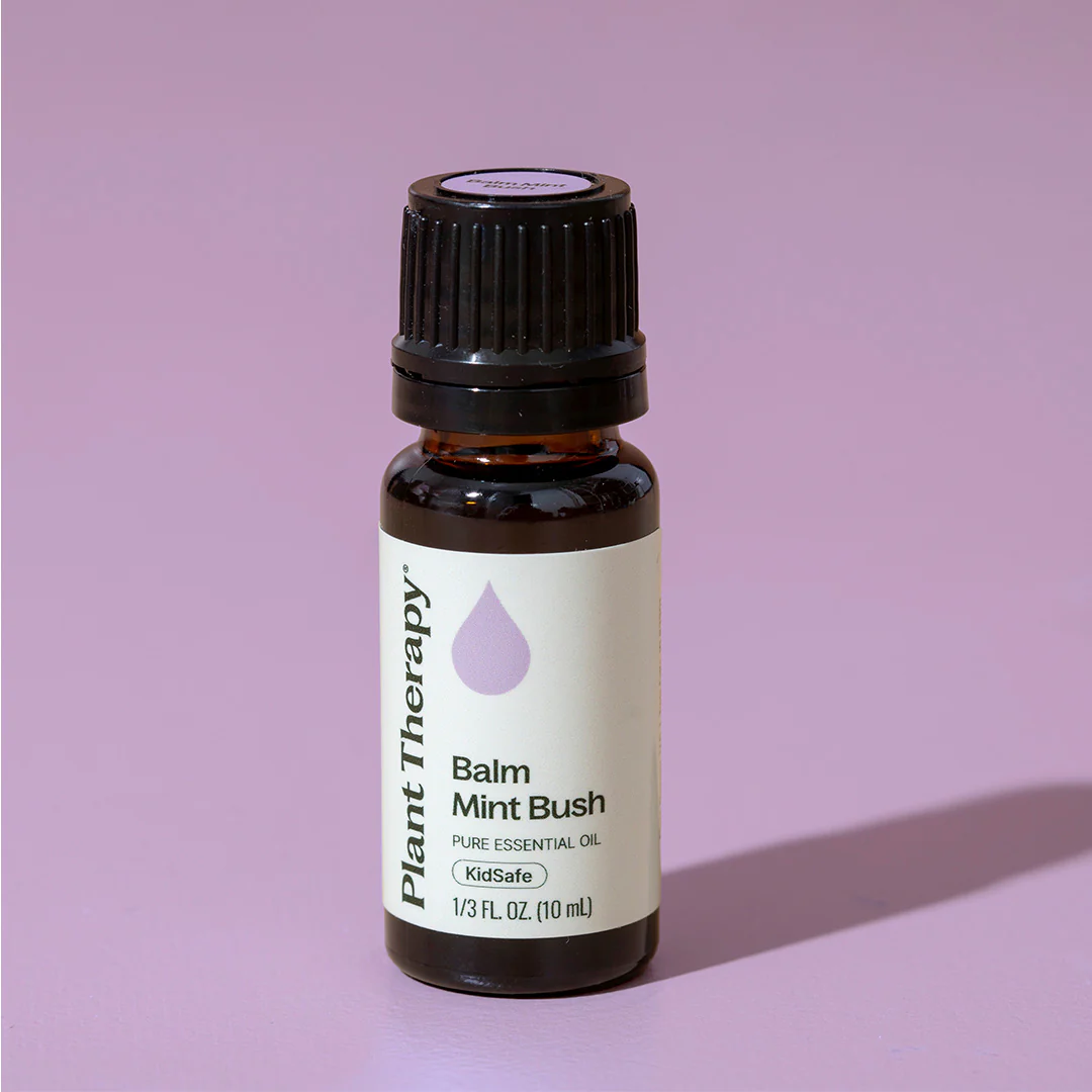 Balm Mint Bush Essential Oil - Image 3