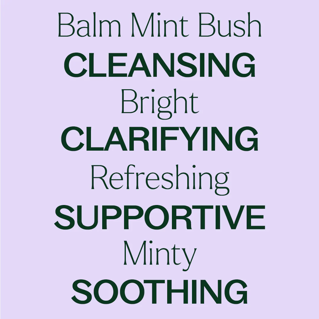 Balm Mint Bush Essential Oil - Image 4