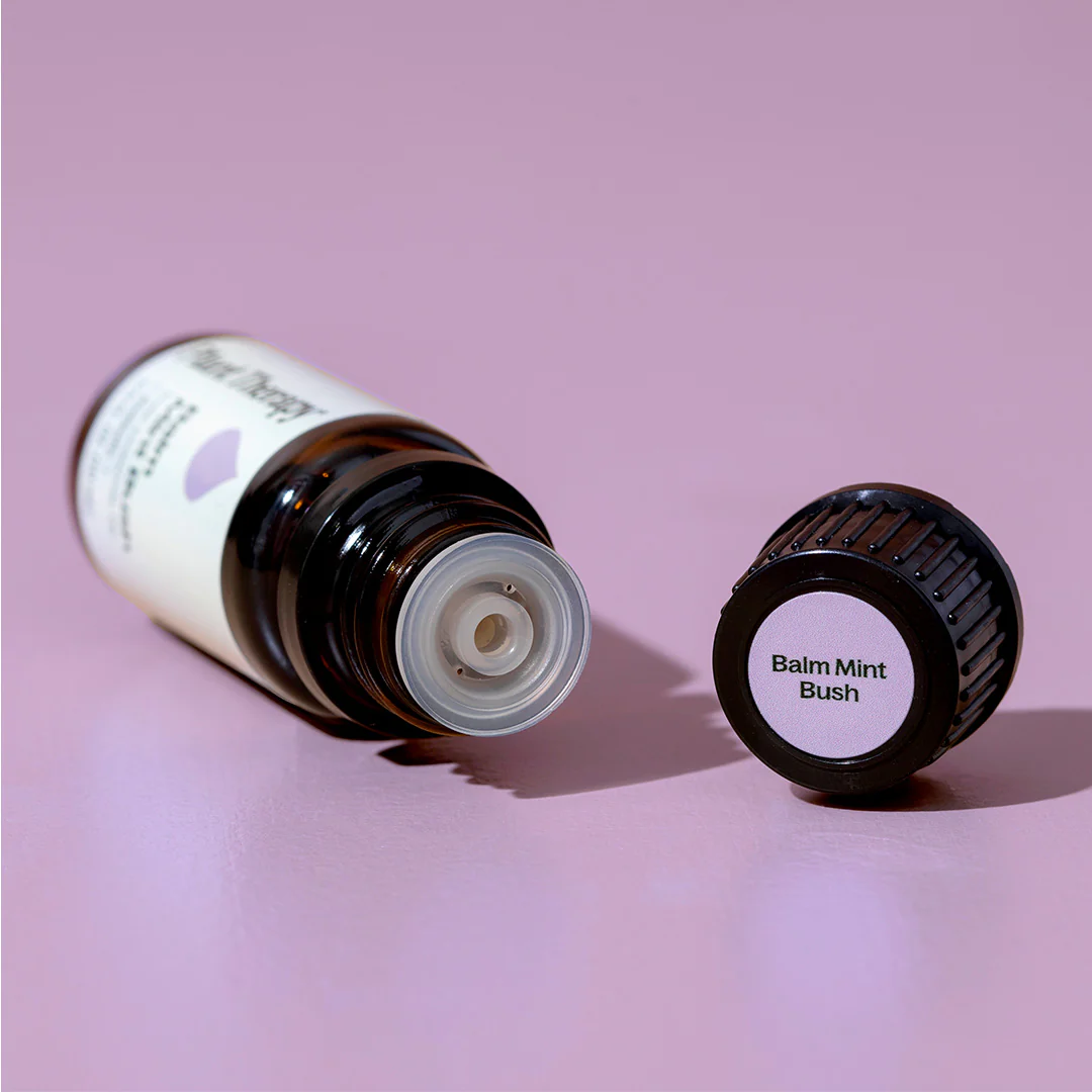 Balm Mint Bush Essential Oil - Image 5