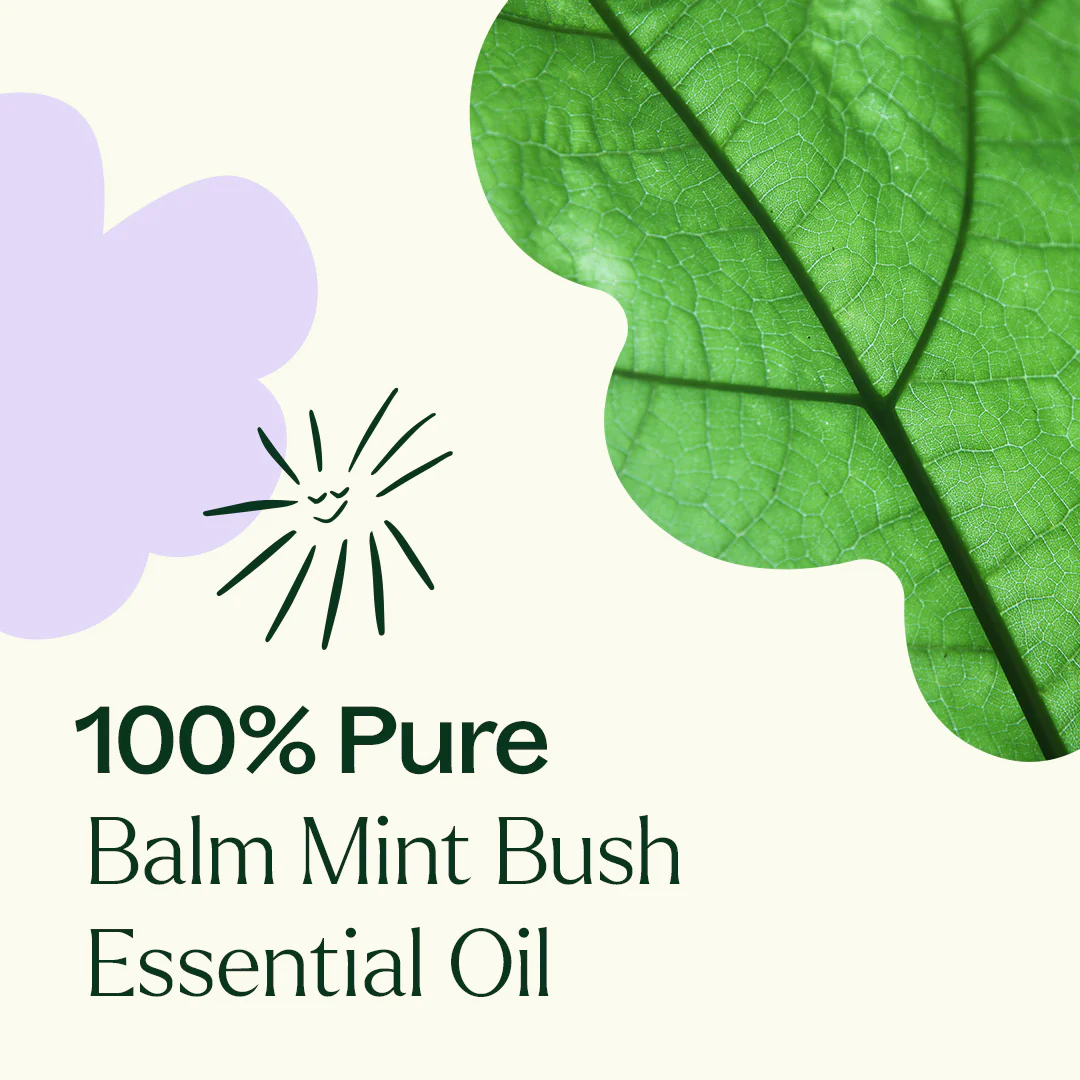Balm Mint Bush Essential Oil - Image 6