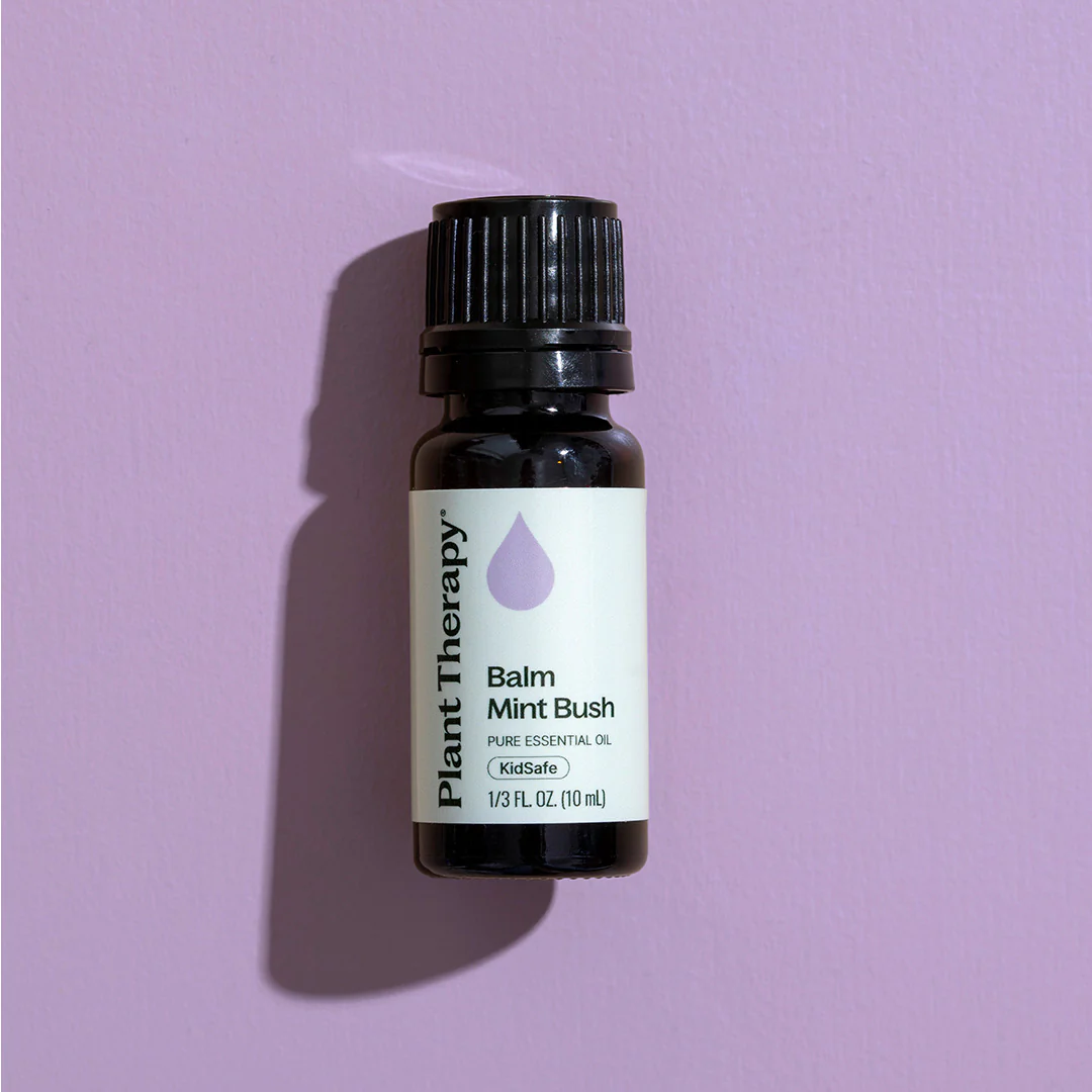 Balm Mint Bush Essential Oil - Image 7