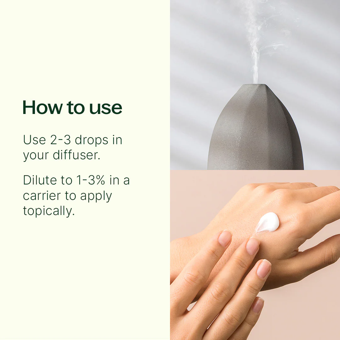 Balm Mint Bush Essential Oil - Image 8