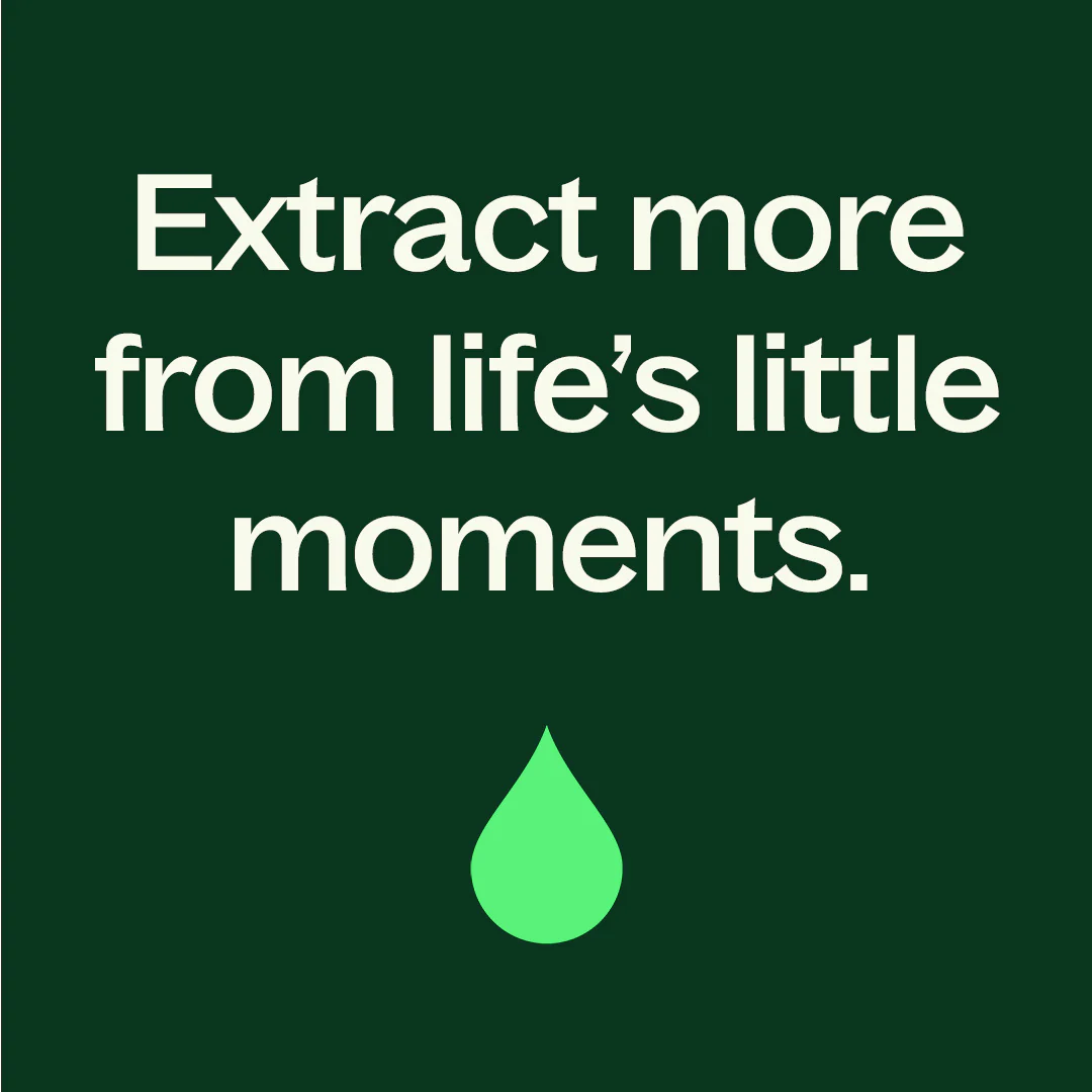 Balm Mint Bush Essential Oil - Image 9