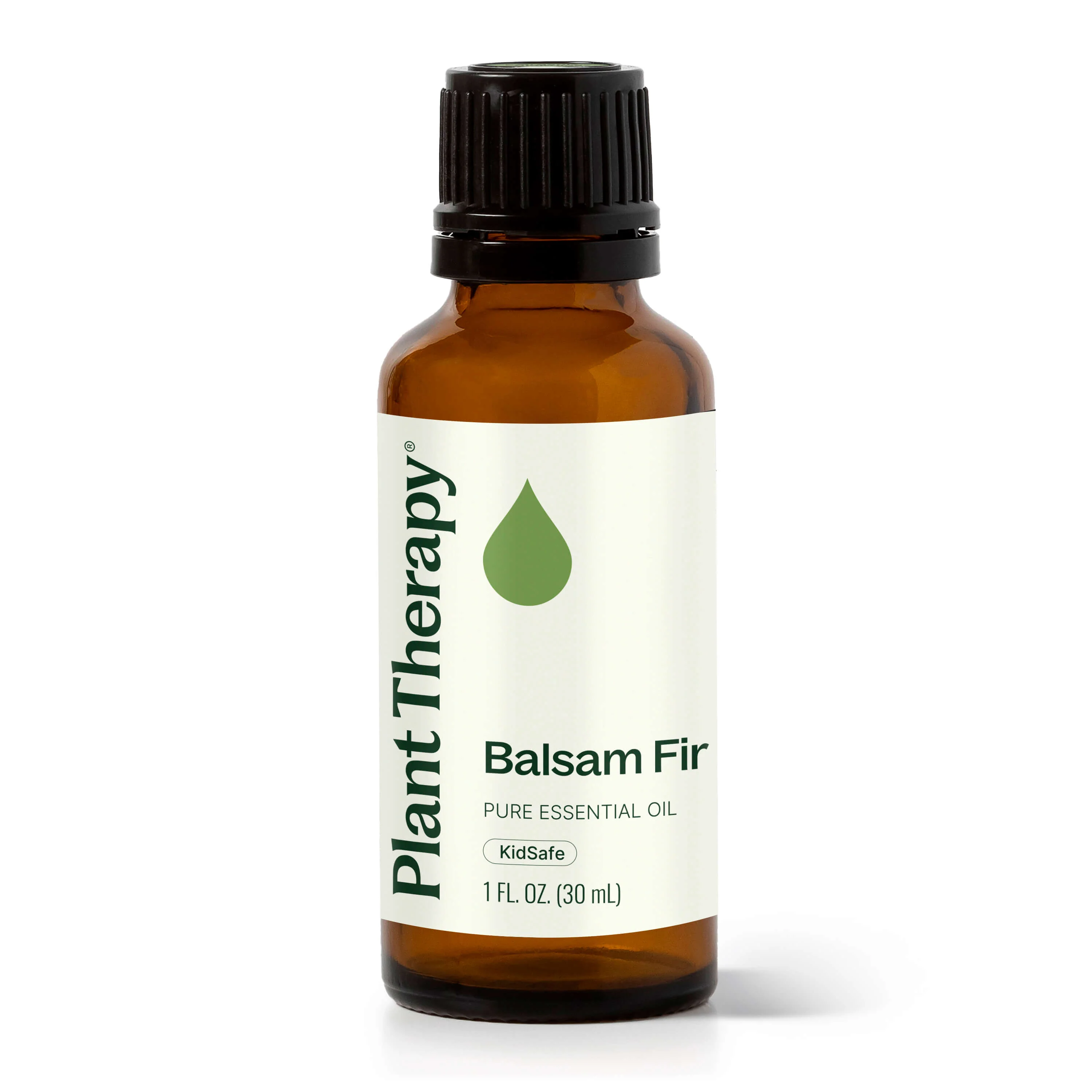 Balsam Fir Essential Oil - Image 11