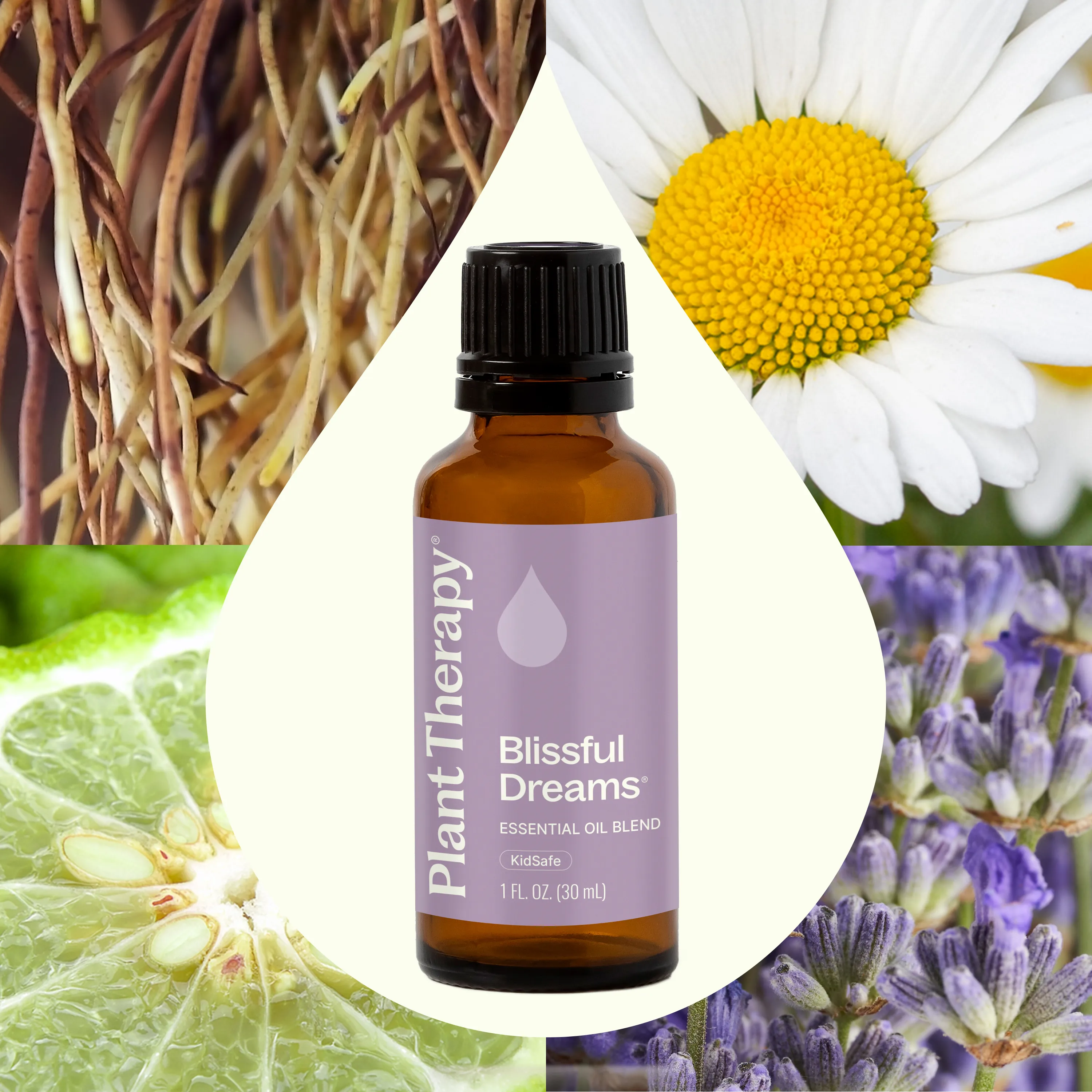 Blissful Dreams Essential Oil - Image 5