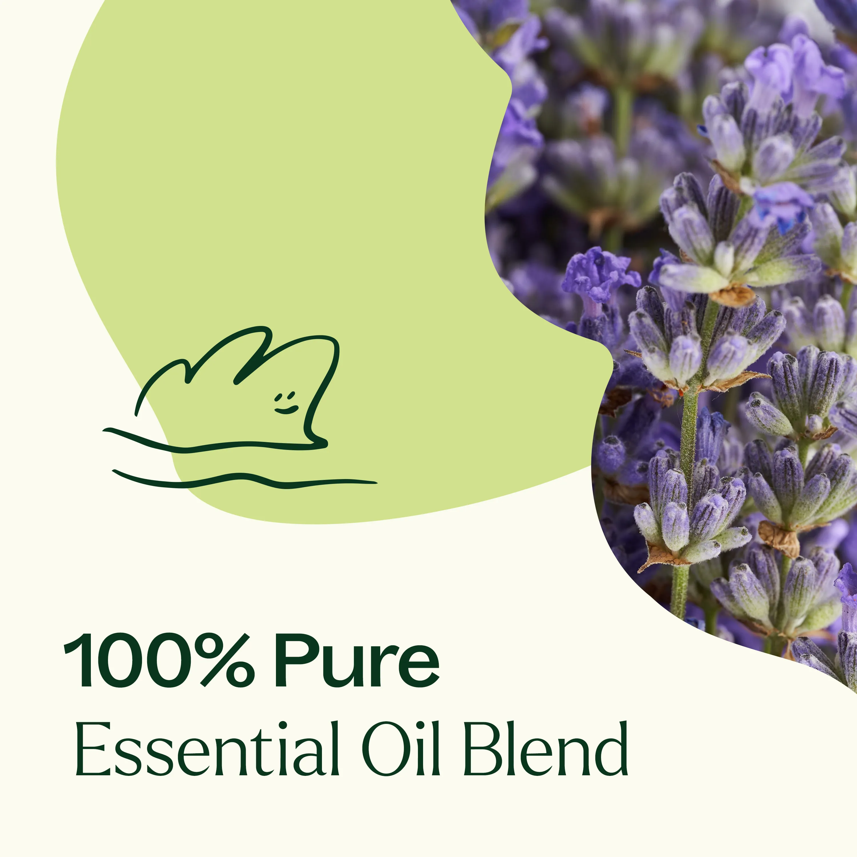 Blissful Dreams Essential Oil - Image 6