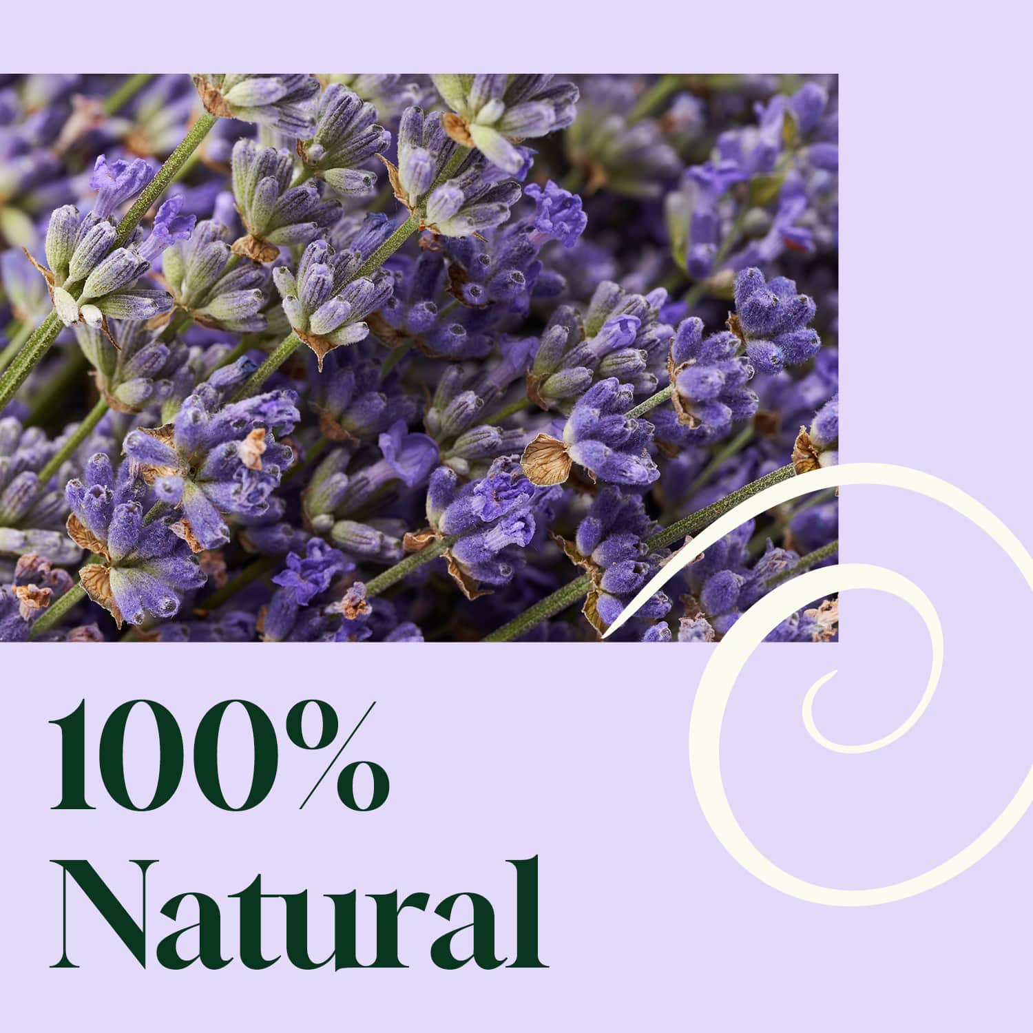 Blissful Dreams Lavender Pillow Spray 2oz - Image 3