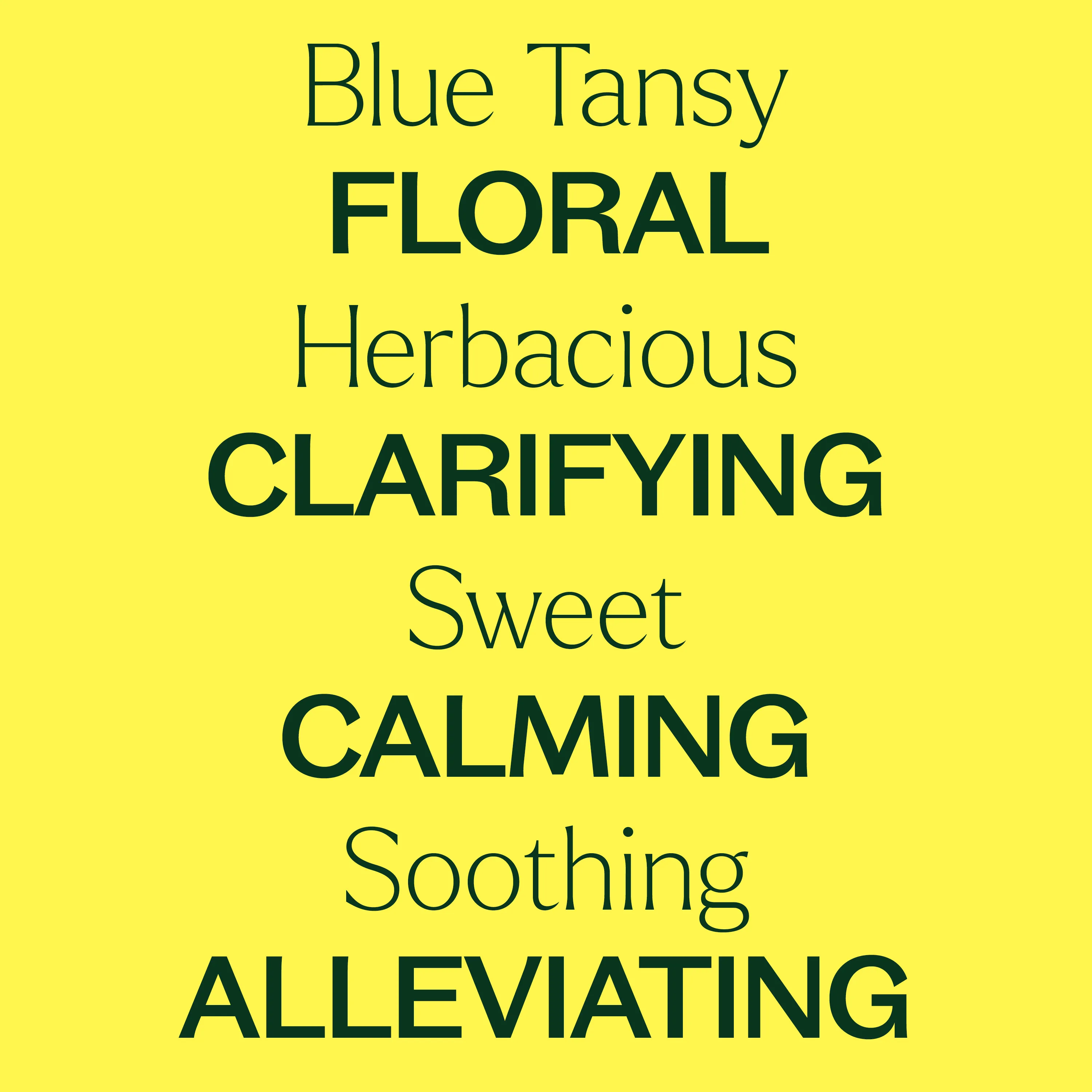 Blue Tansy Essential Oil 1 kg - Image 2