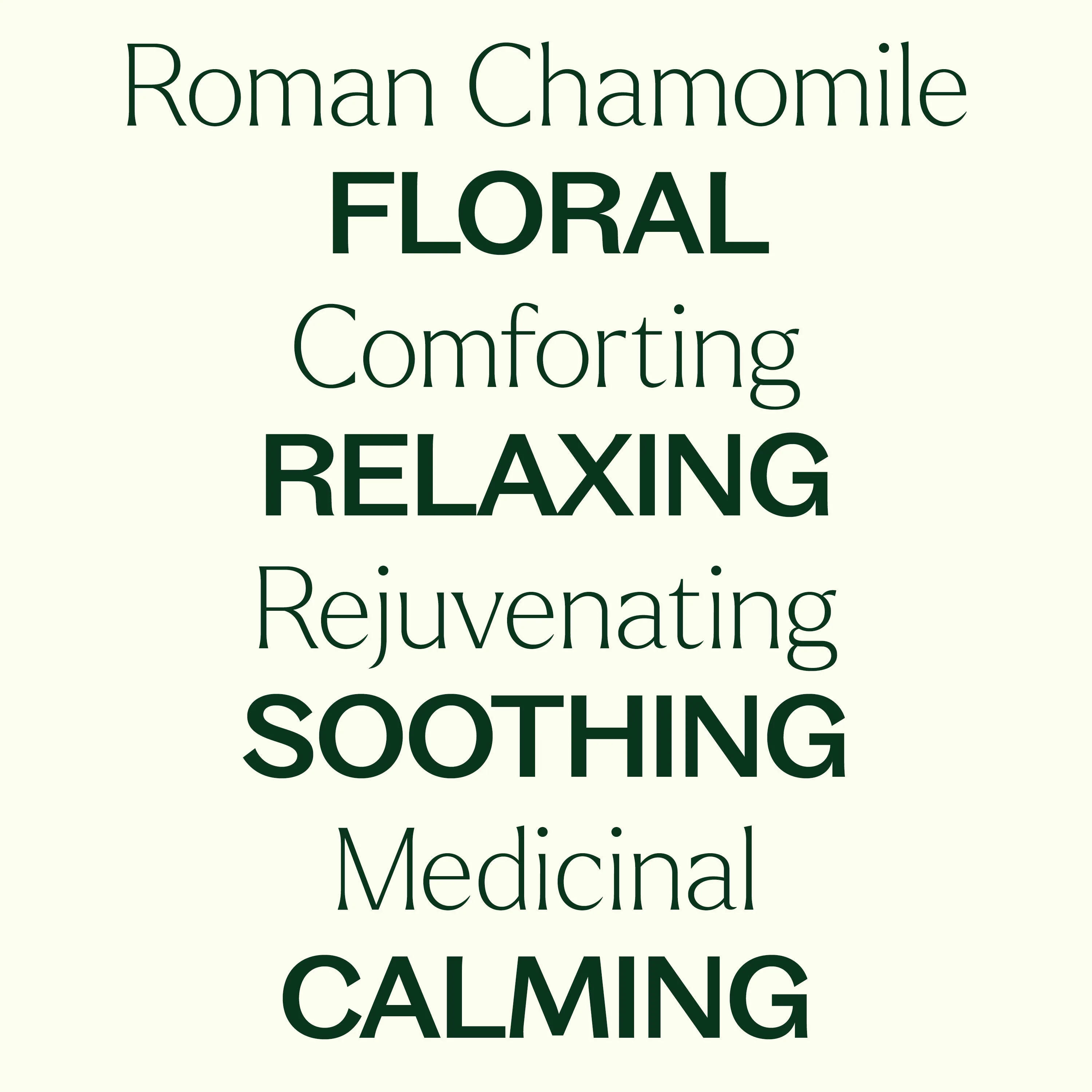 Roman Chamomile Essential Oil - Image 3