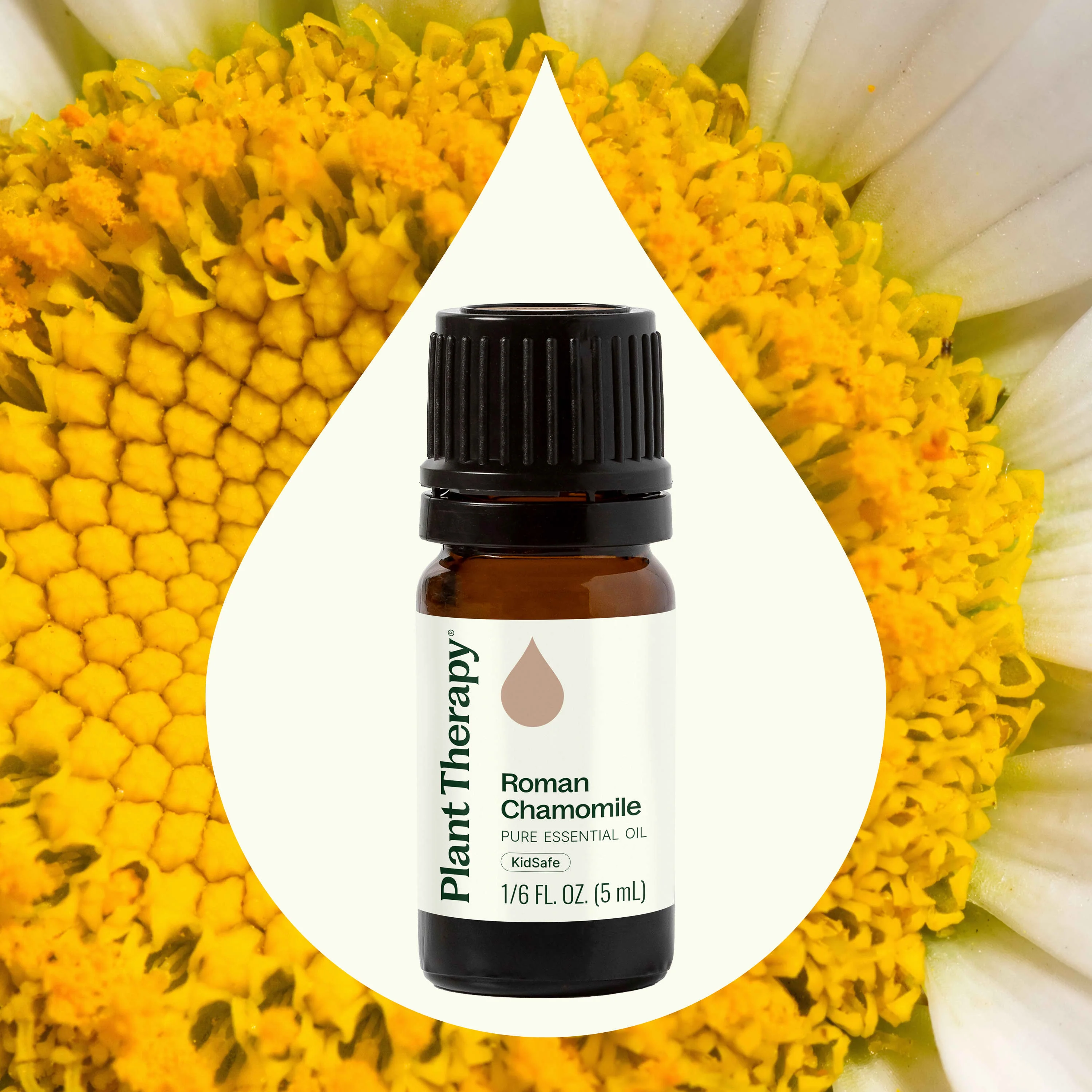 Roman Chamomile Essential Oil - Image 5