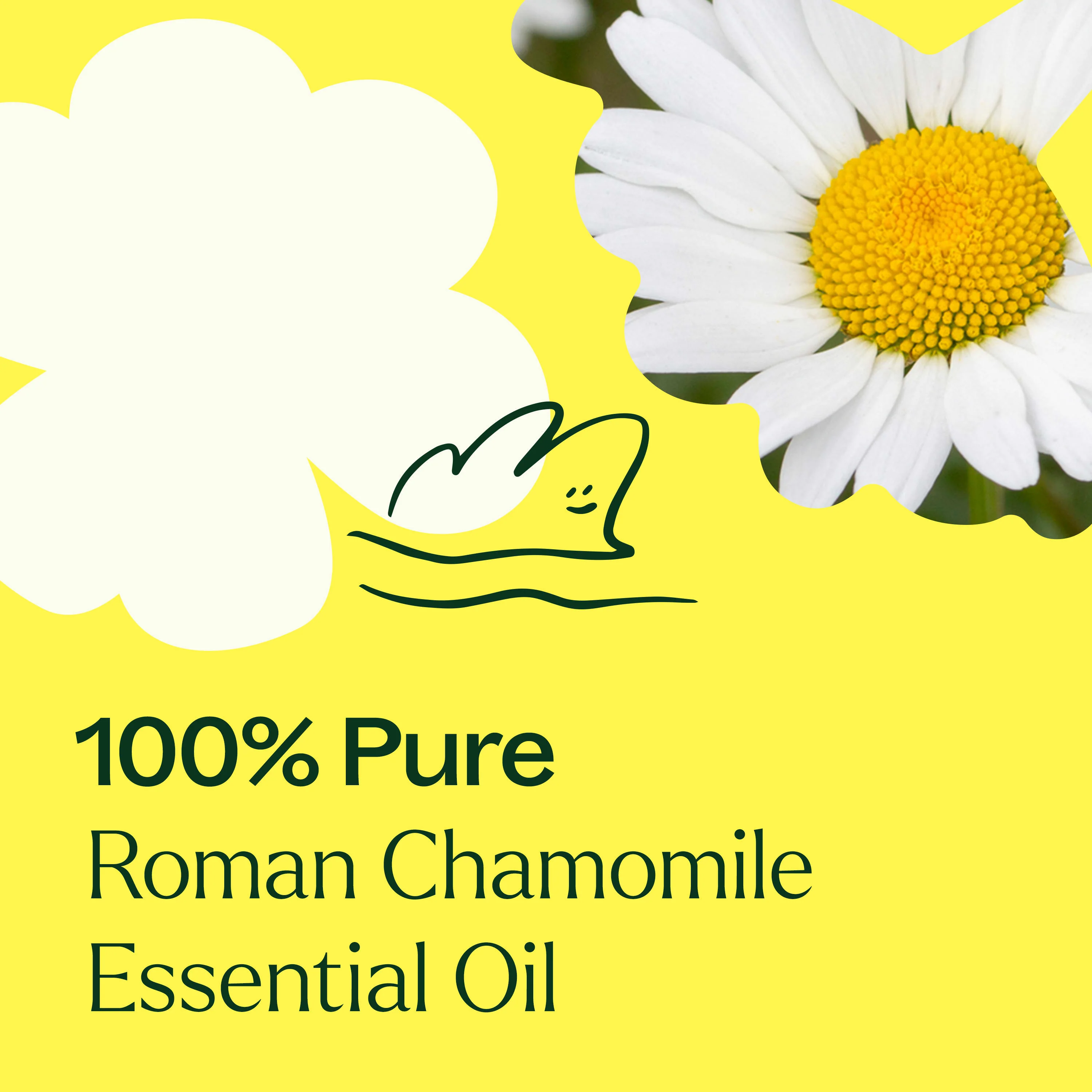 Roman Chamomile Essential Oil - Image 8