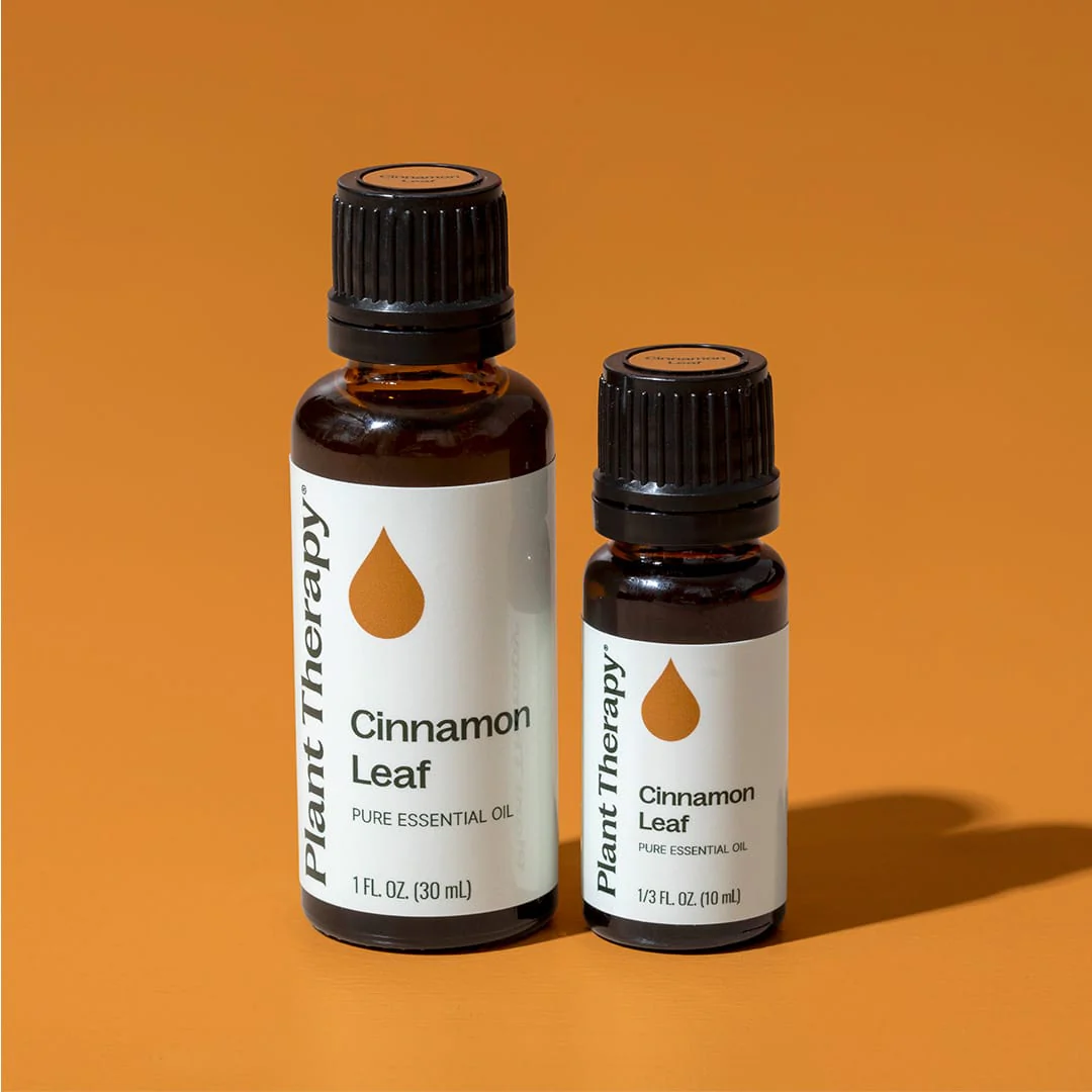 Cinnamon Leaf Essential Oil - Image 11