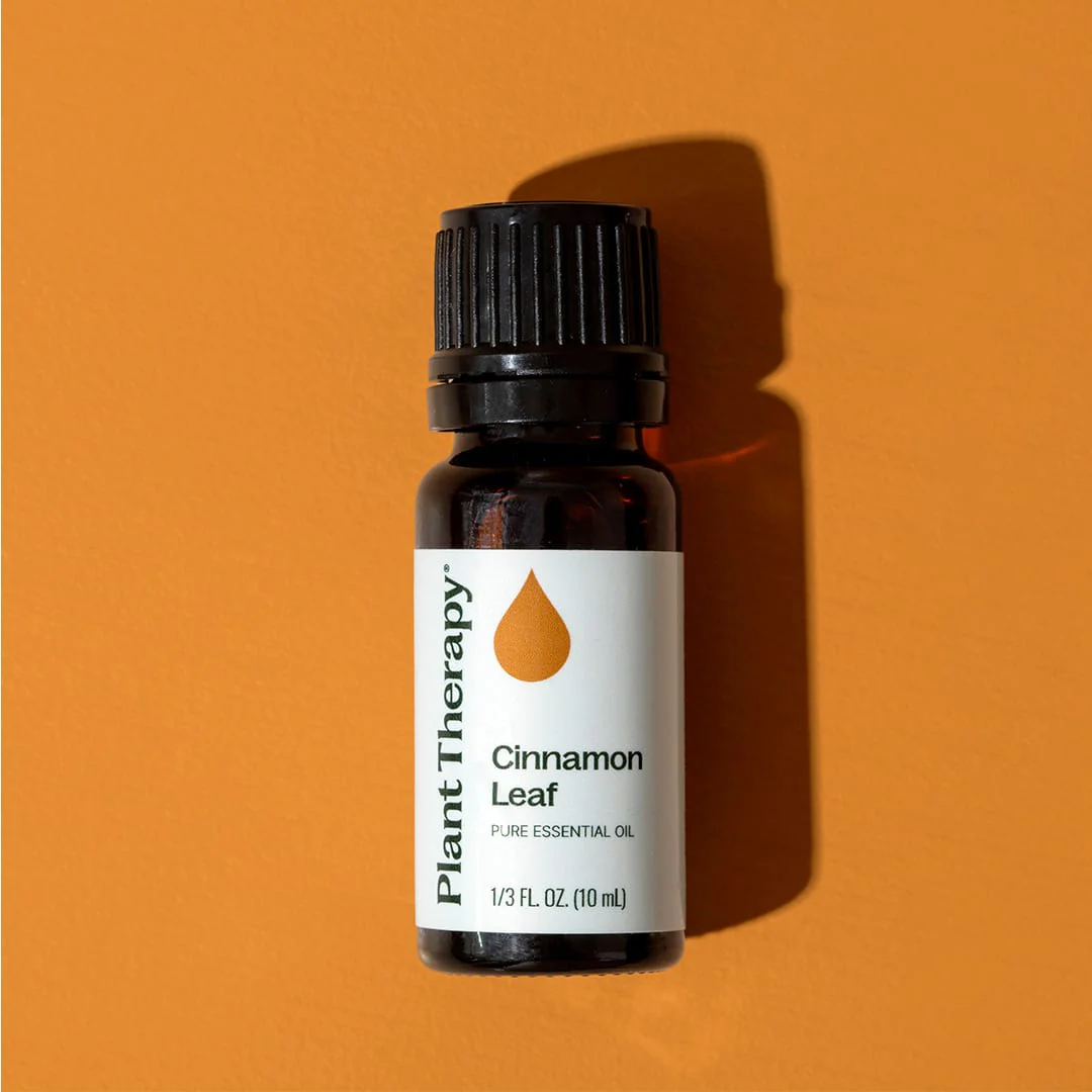 Cinnamon Leaf Essential Oil - Image 12