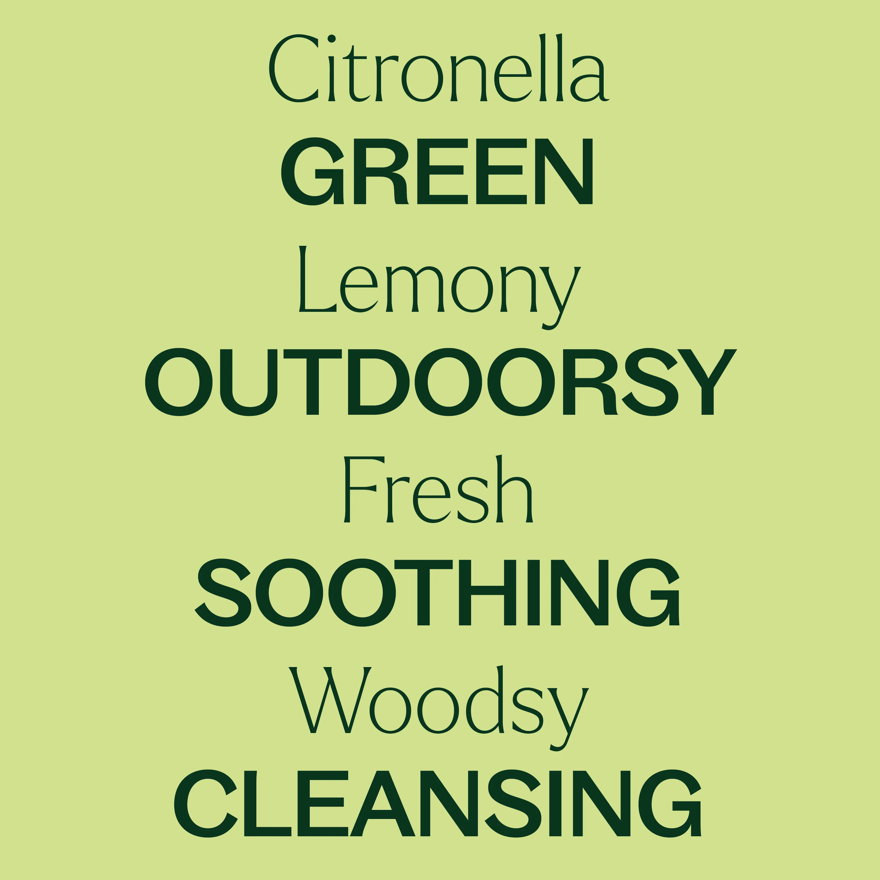 Citronella Essential Oil - Image 3