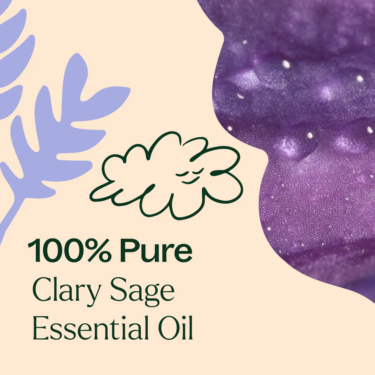 Clary Sage Essential Oil - Image 3