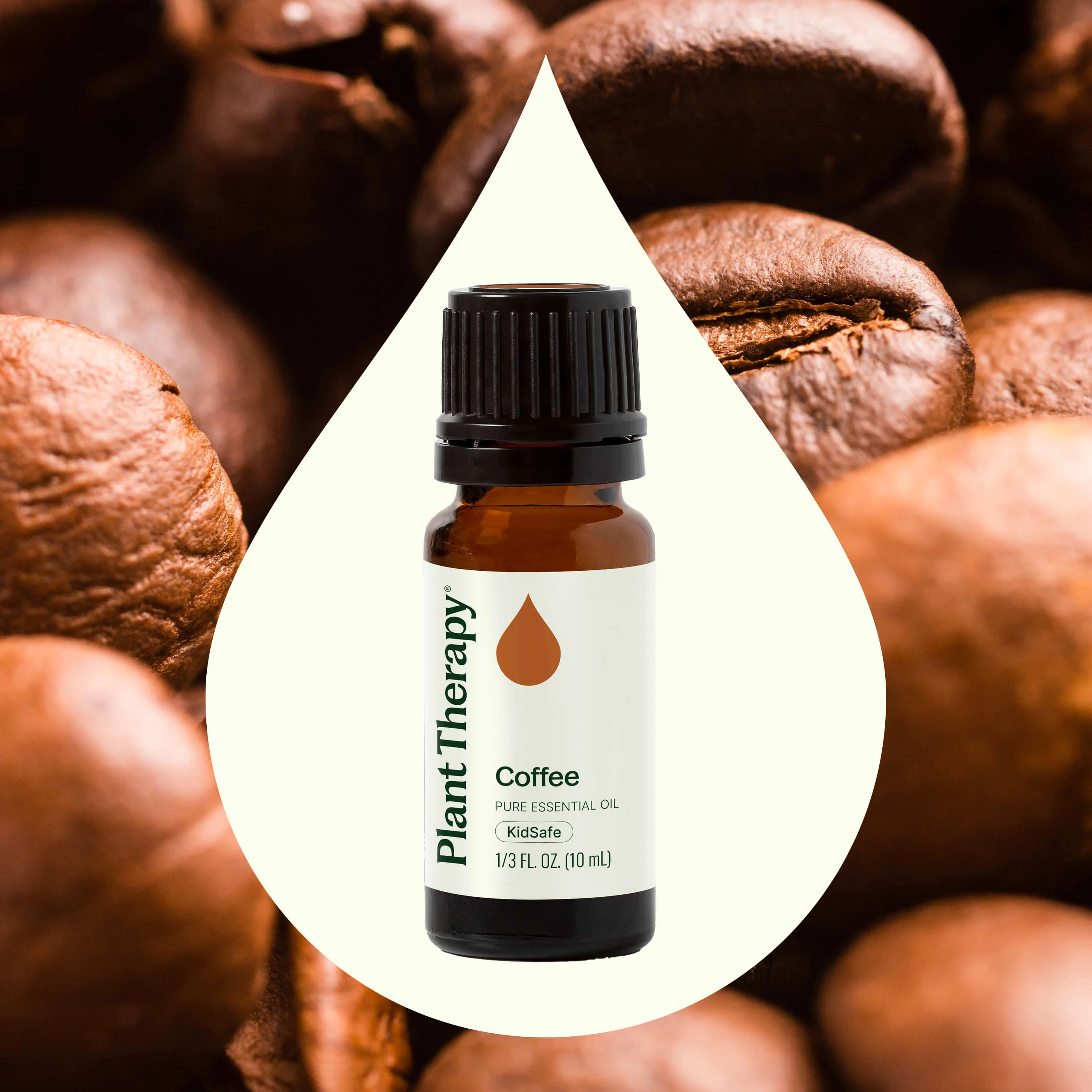 Coffee Essential Oil - Image 4