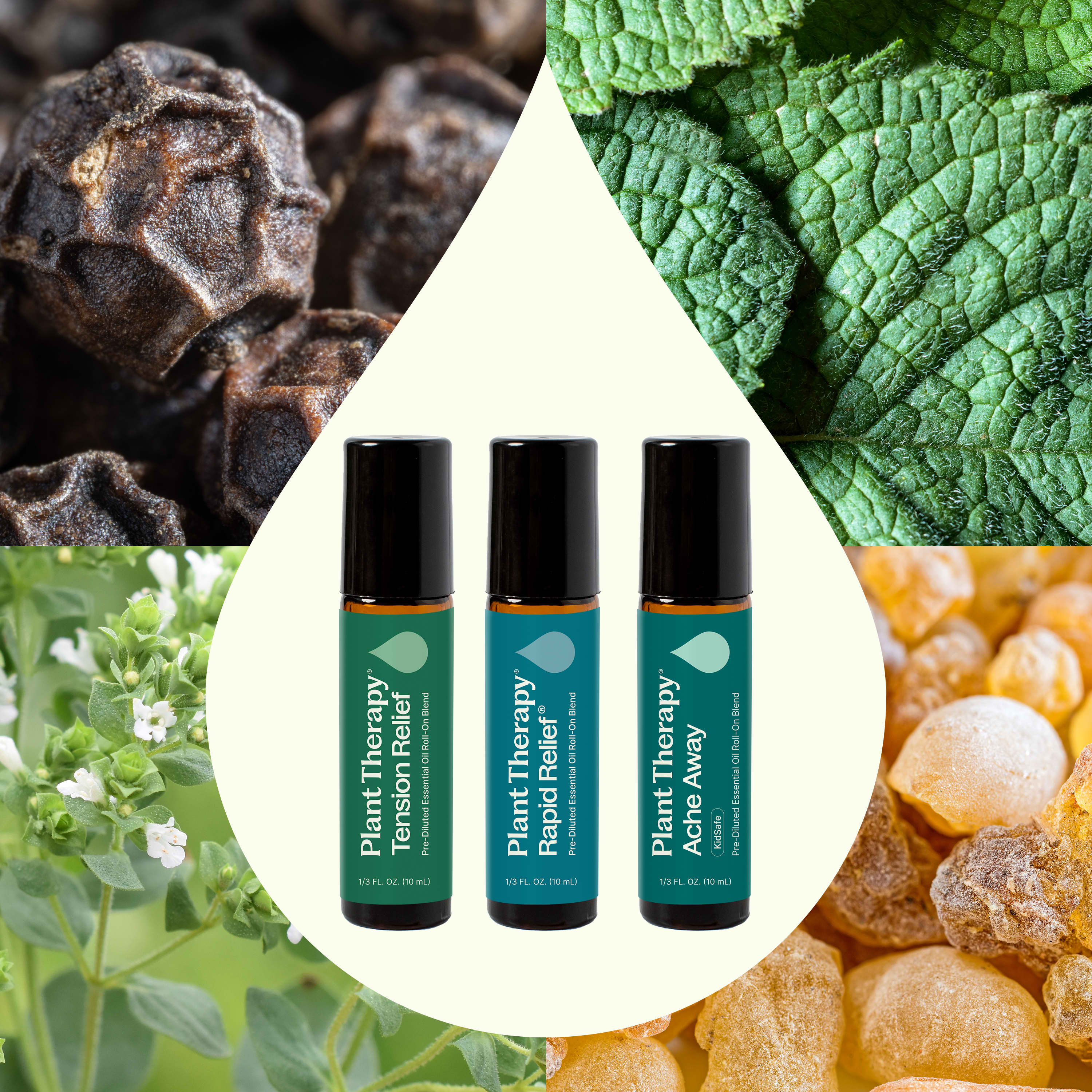 Pain Support Essential Oil Blend Roll On Set - Image 2