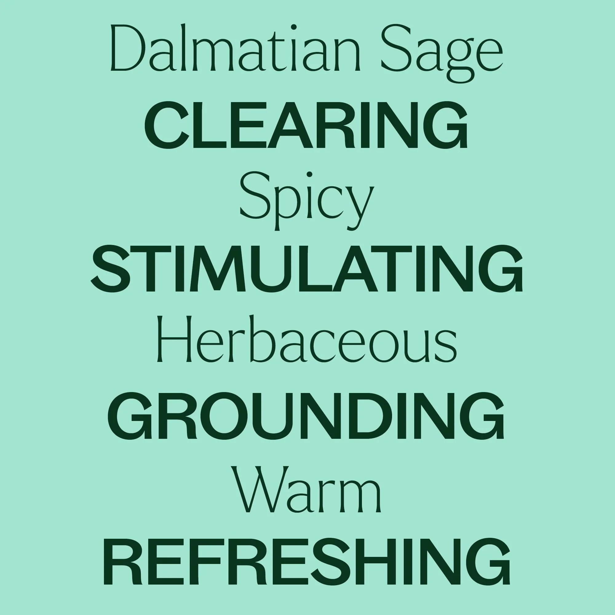 Dalmatian Sage Essential Oil - Image 5