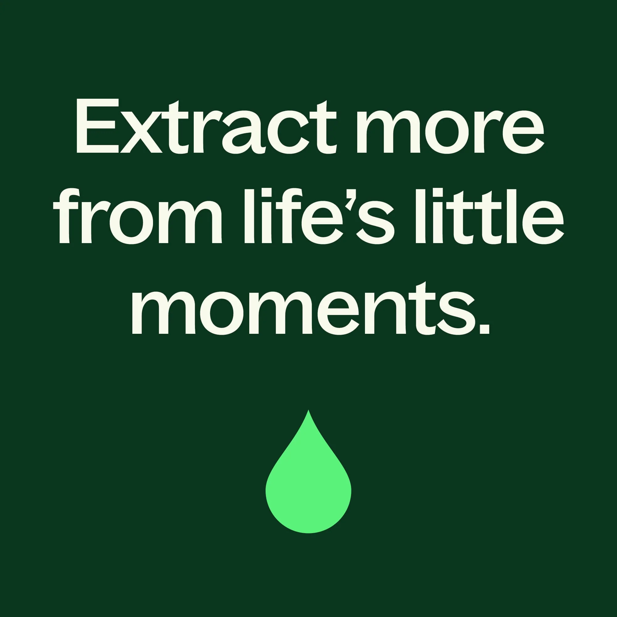 Dalmatian Sage Essential Oil - Image 6
