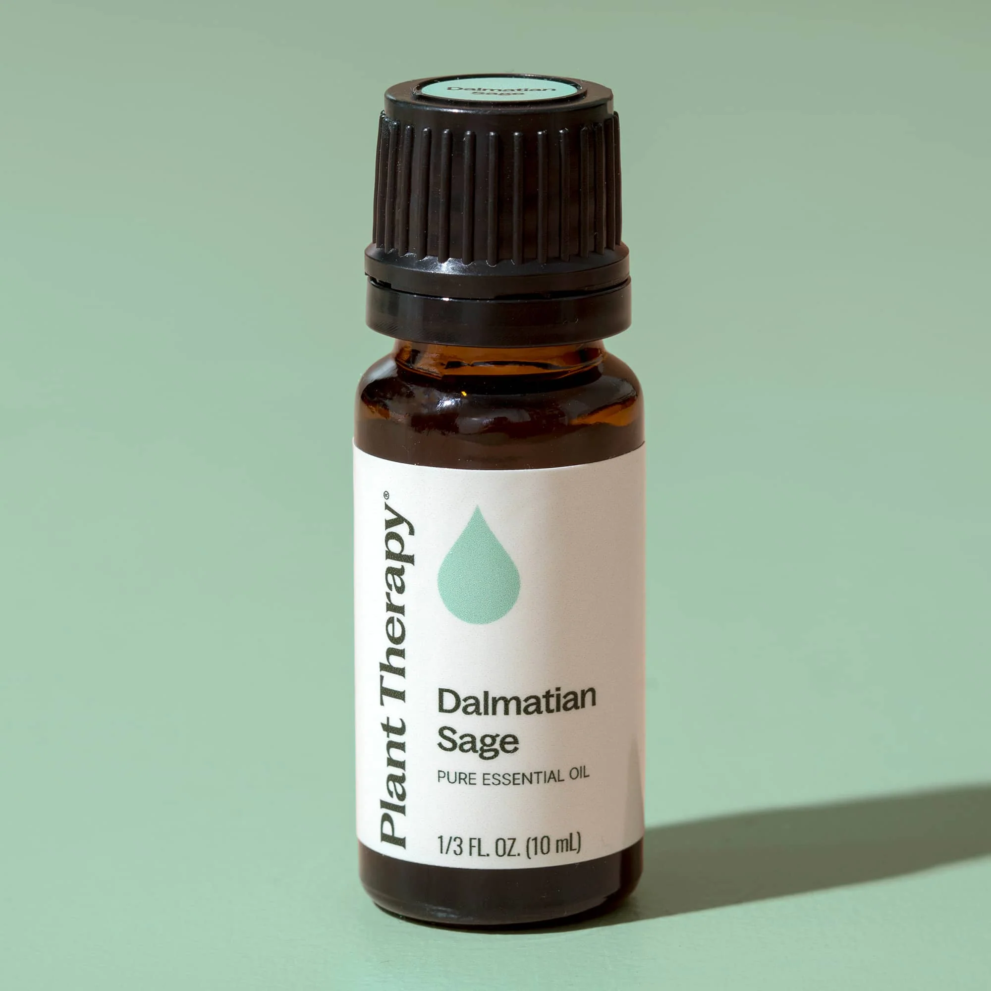 Dalmatian Sage Essential Oil - Image 7