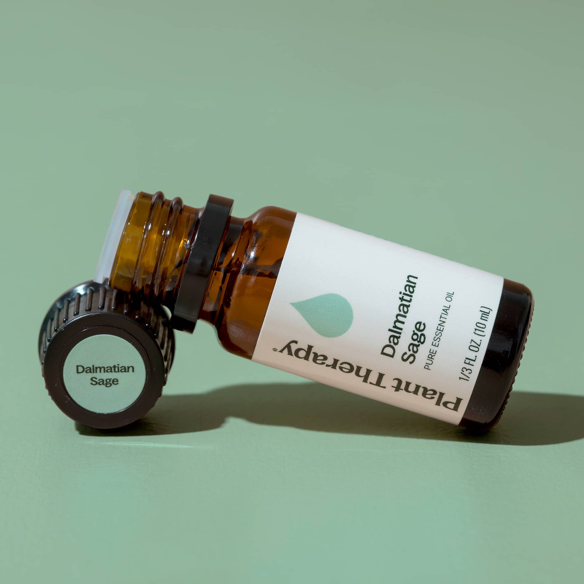 Dalmatian Sage Essential Oil - Image 8
