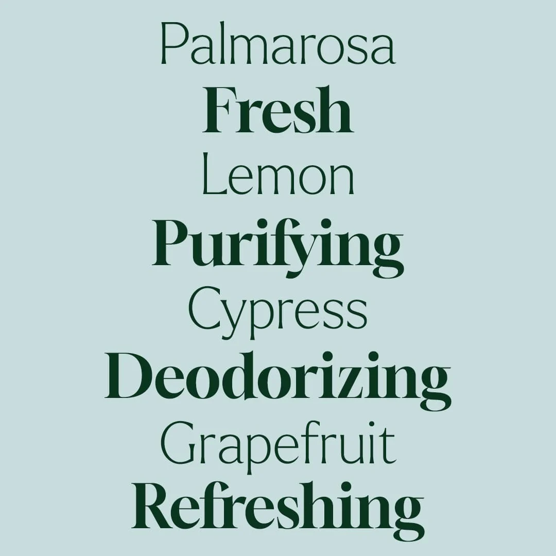 Deodorizing Trio - Image 4