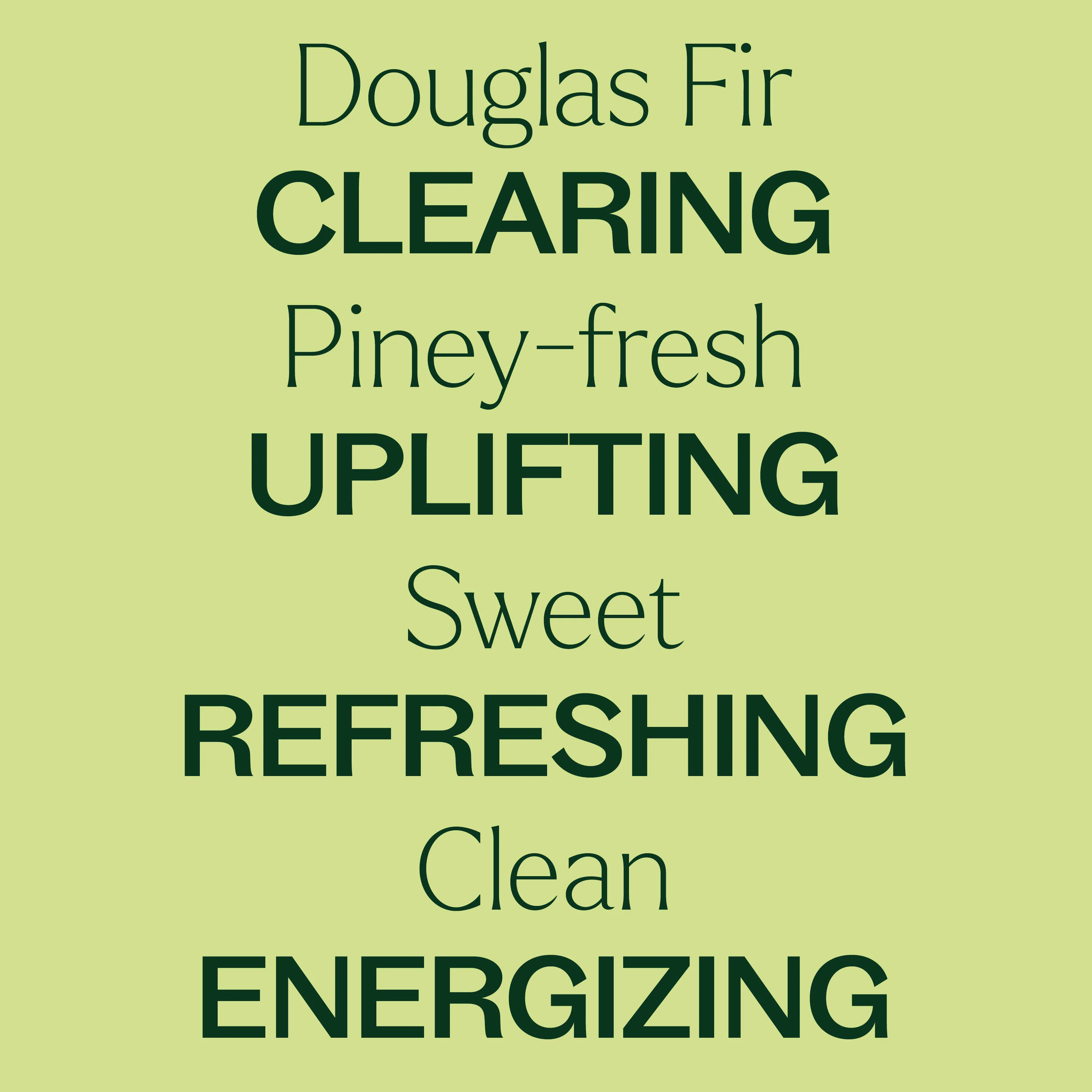 Douglas Fir Essential Oil - Image 5