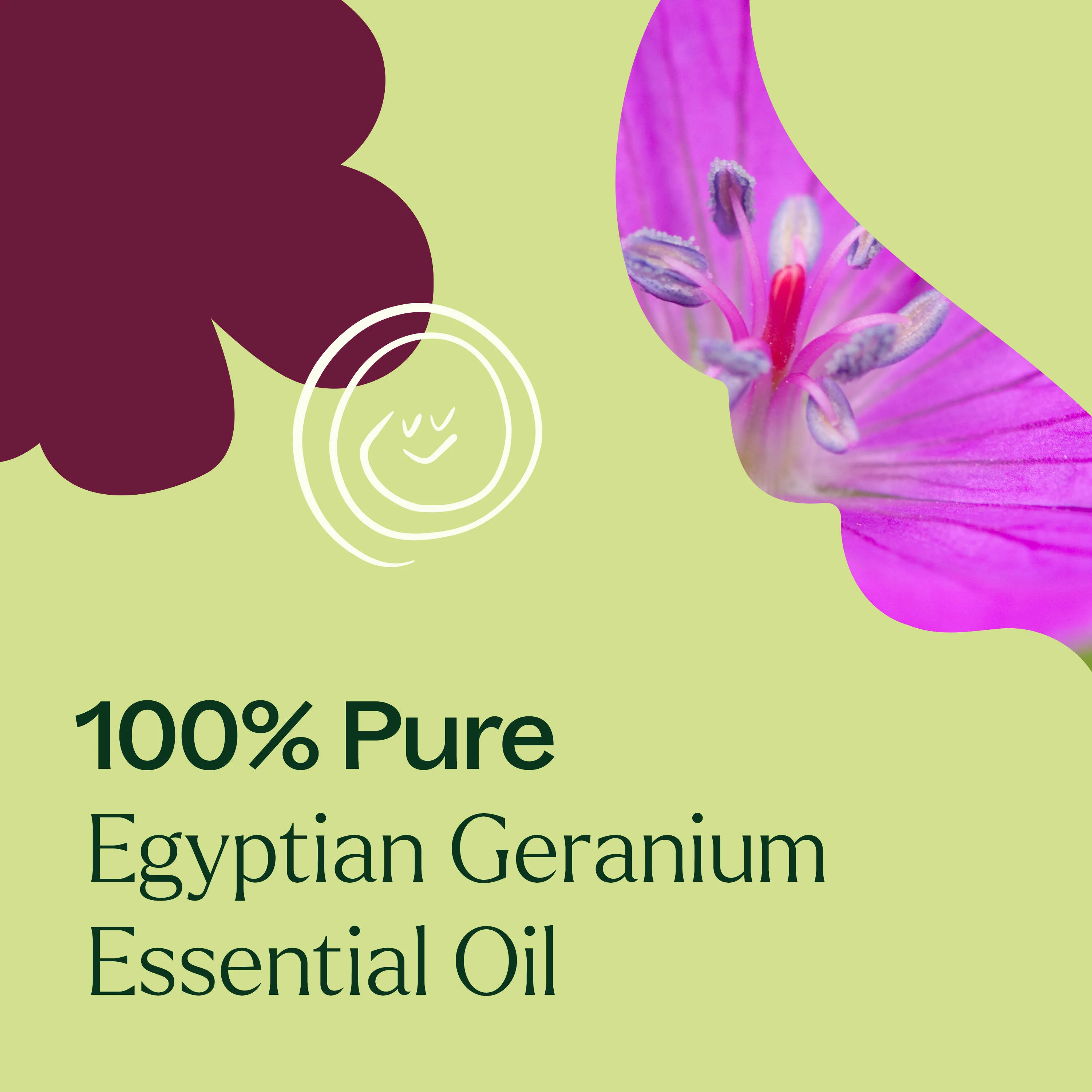 Egyptian Geranium Essential Oil - Image 4