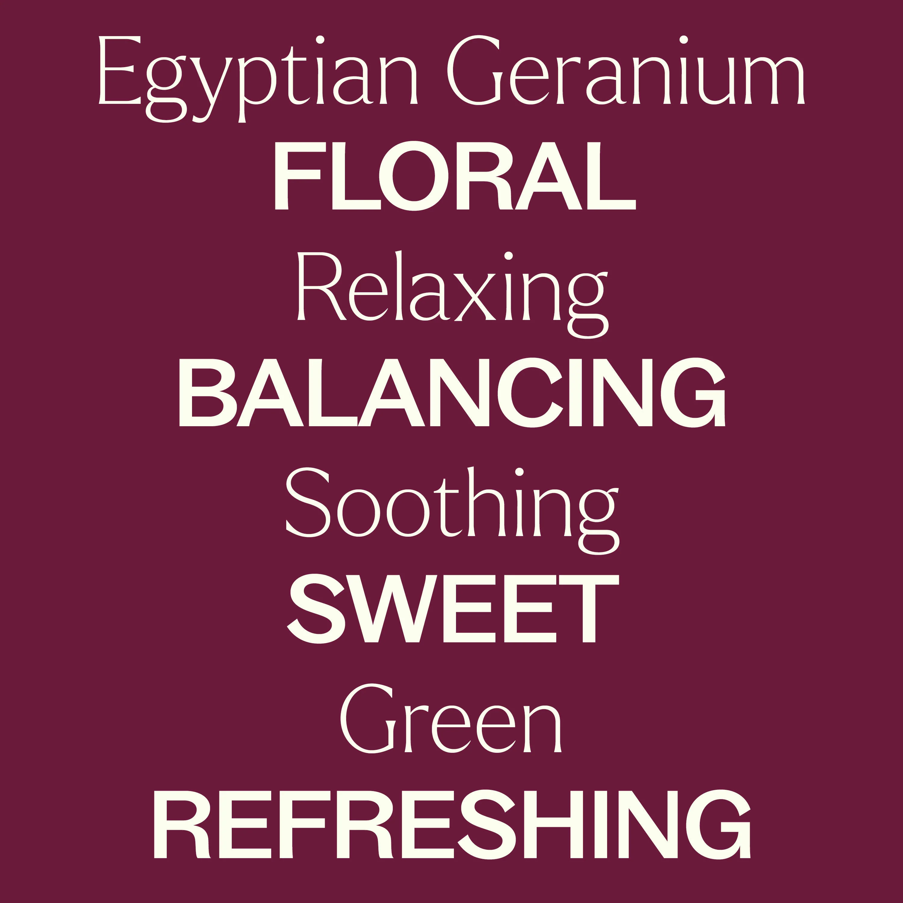 Egyptian Geranium Essential Oil - Image 5