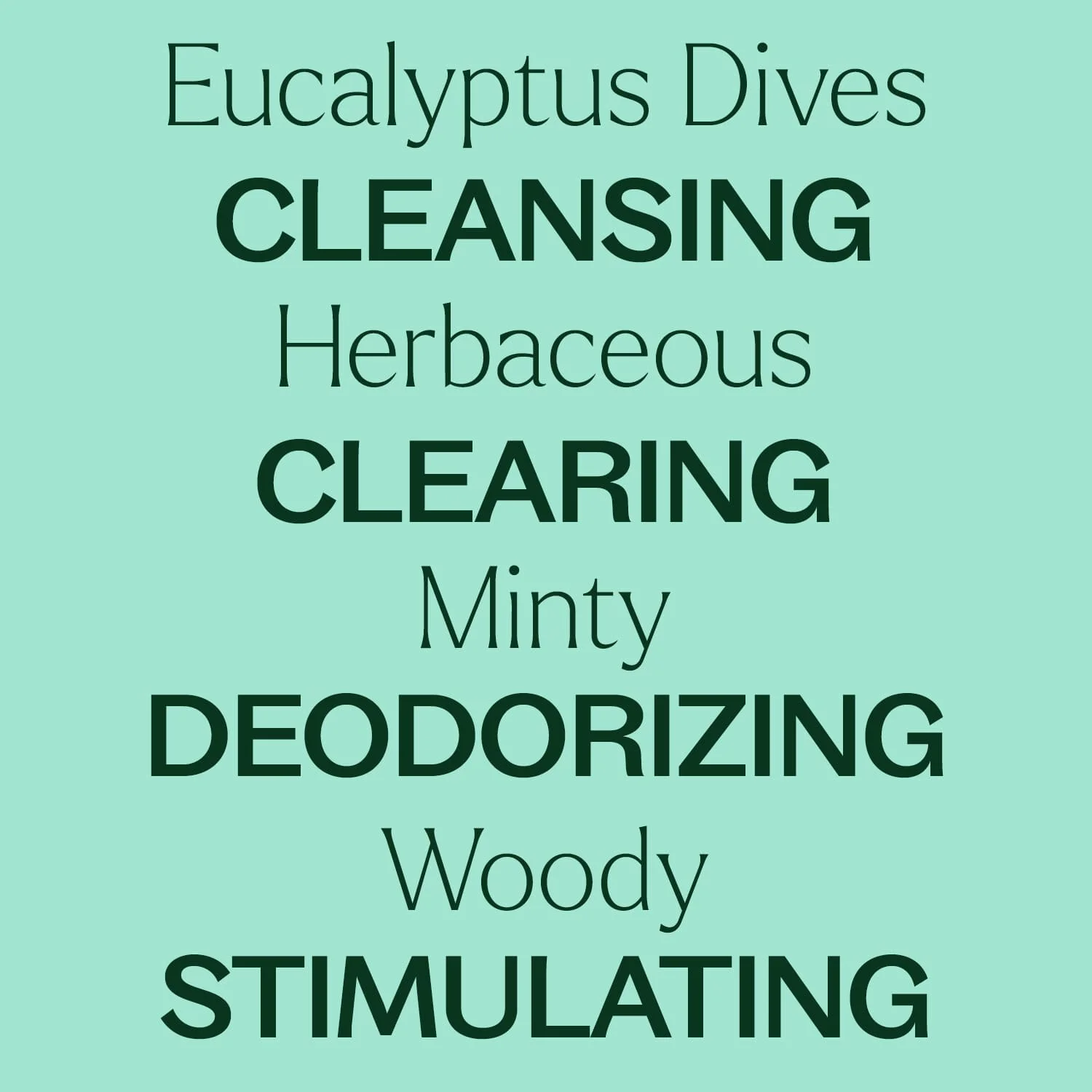 Eucalyptus Dives Essential Oil - Image 5
