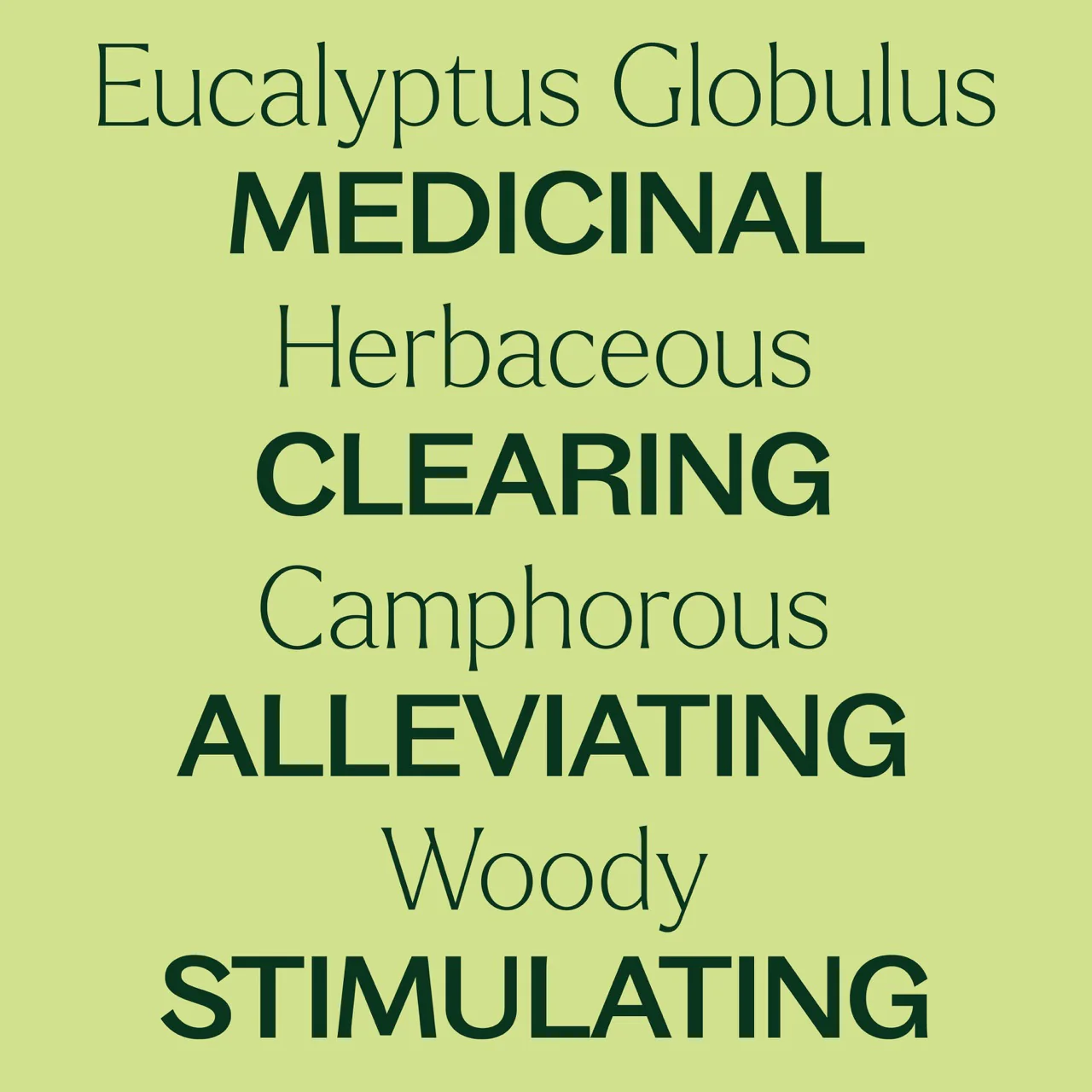 Eucalyptus Globulus Essential Oil - Image 5