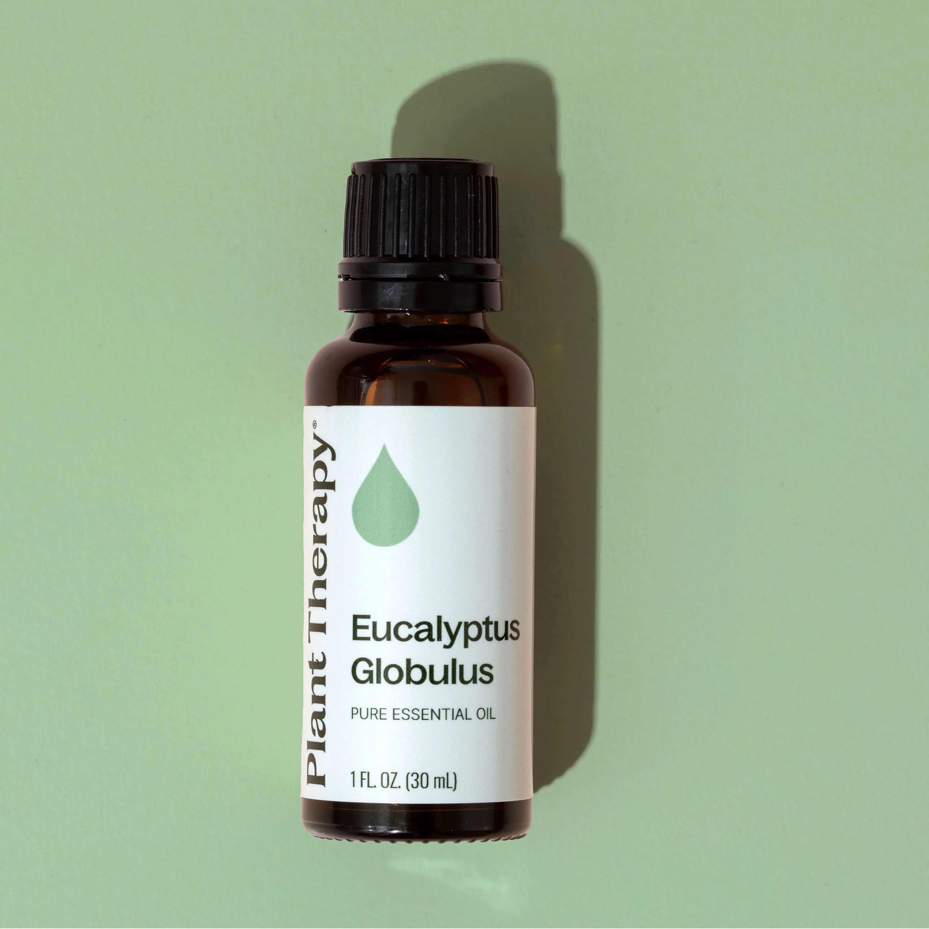 Eucalyptus Globulus Essential Oil - Image 8