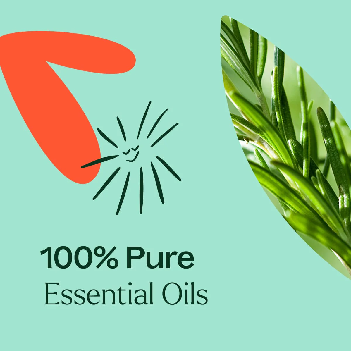 Eucalyptus Mint Essential Oil Blend - Image 5