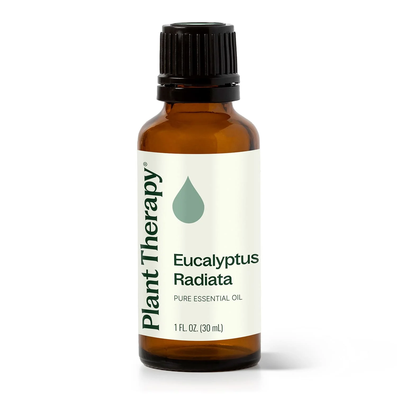 Eucalyptus Radiata Essential Oil - Image 5