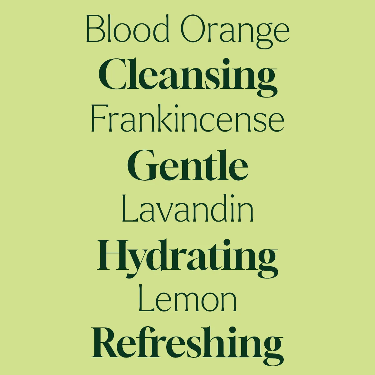 Foaming Hand Soap Duo: Defender + Foaming Bottle - Image 6