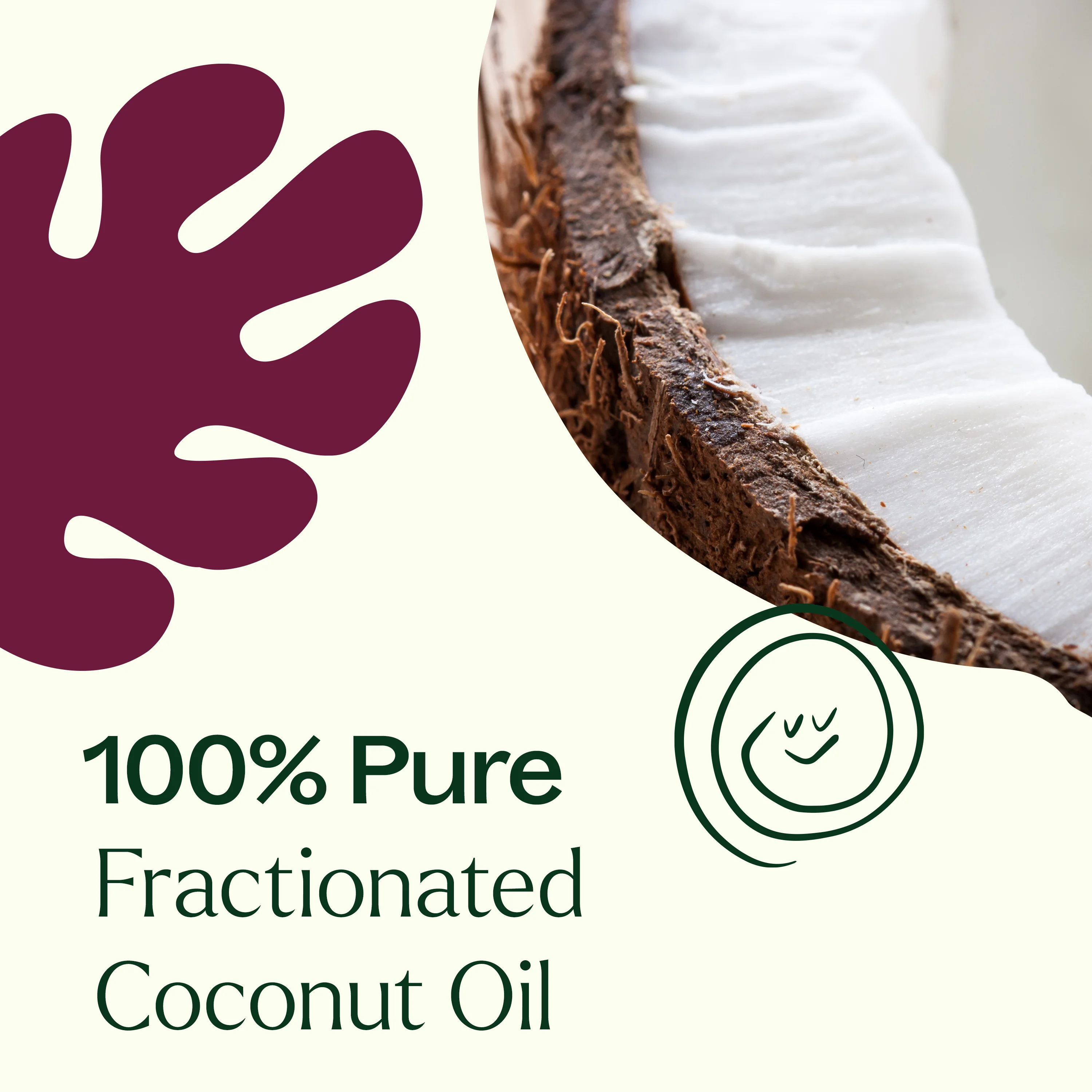 Fractionated Coconut Carrier Oil - Image 4