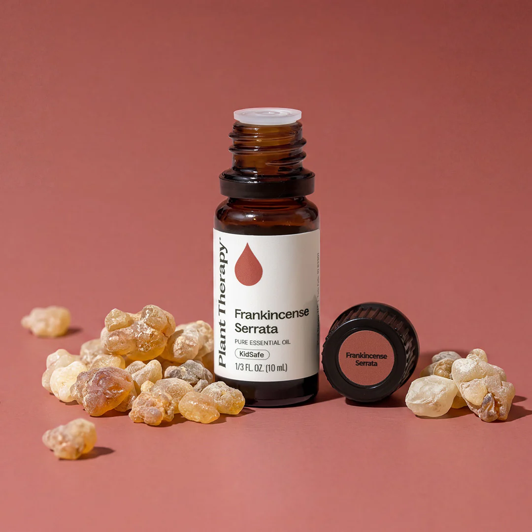 Frankincense Serrata Essential Oil - Image 2