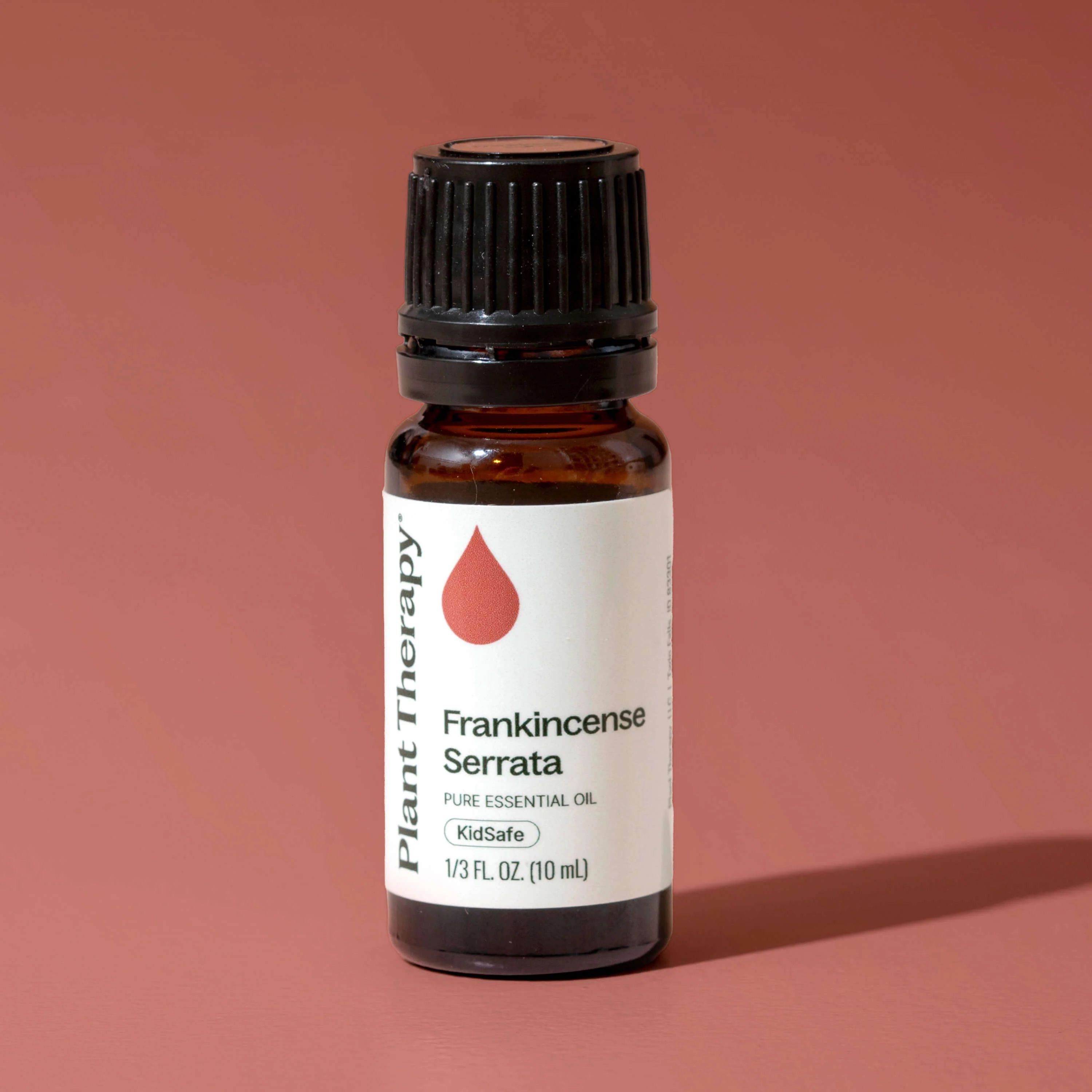 Frankincense Serrata Essential Oil - Image 8