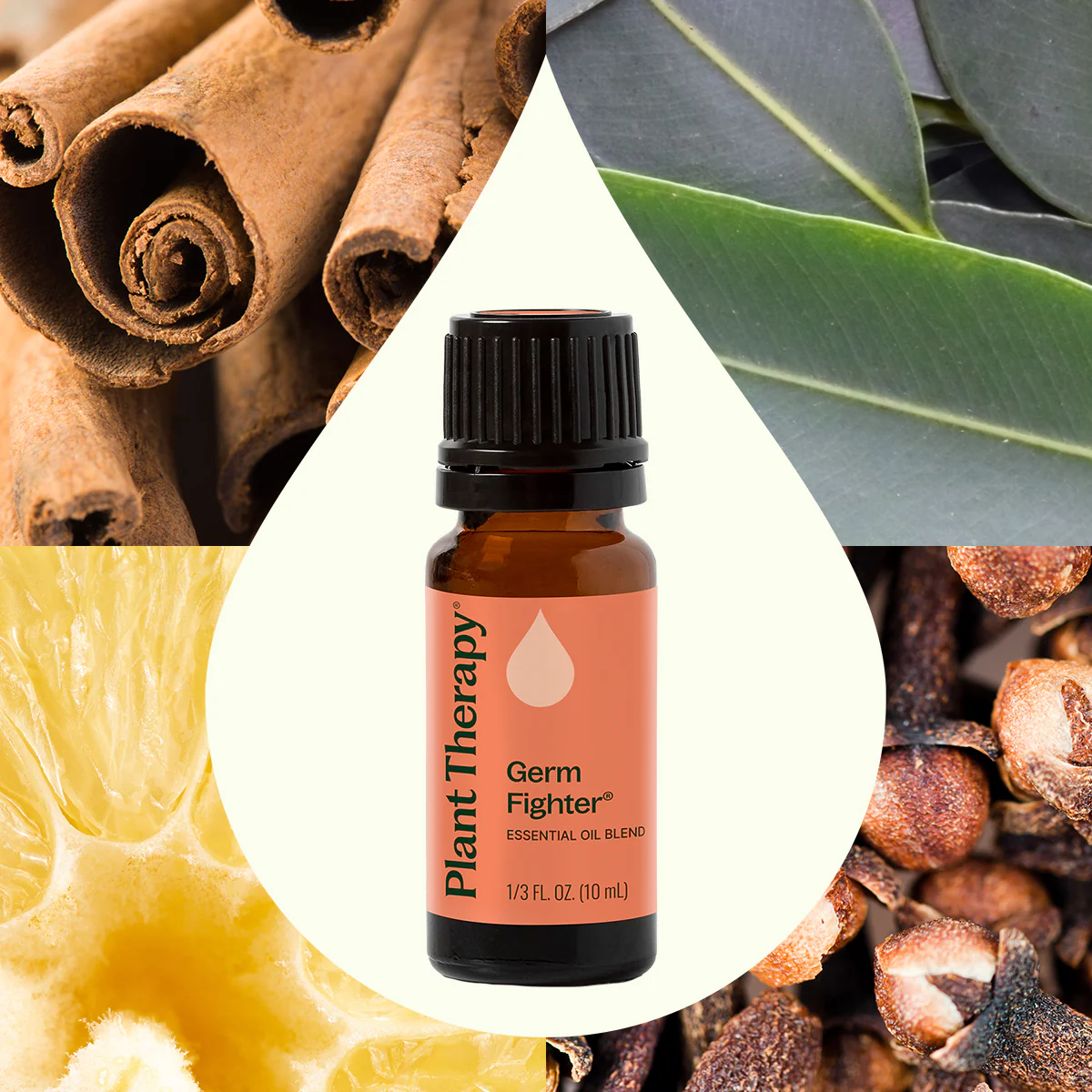 Germ Fighter Essential Oil Blend - Image 6