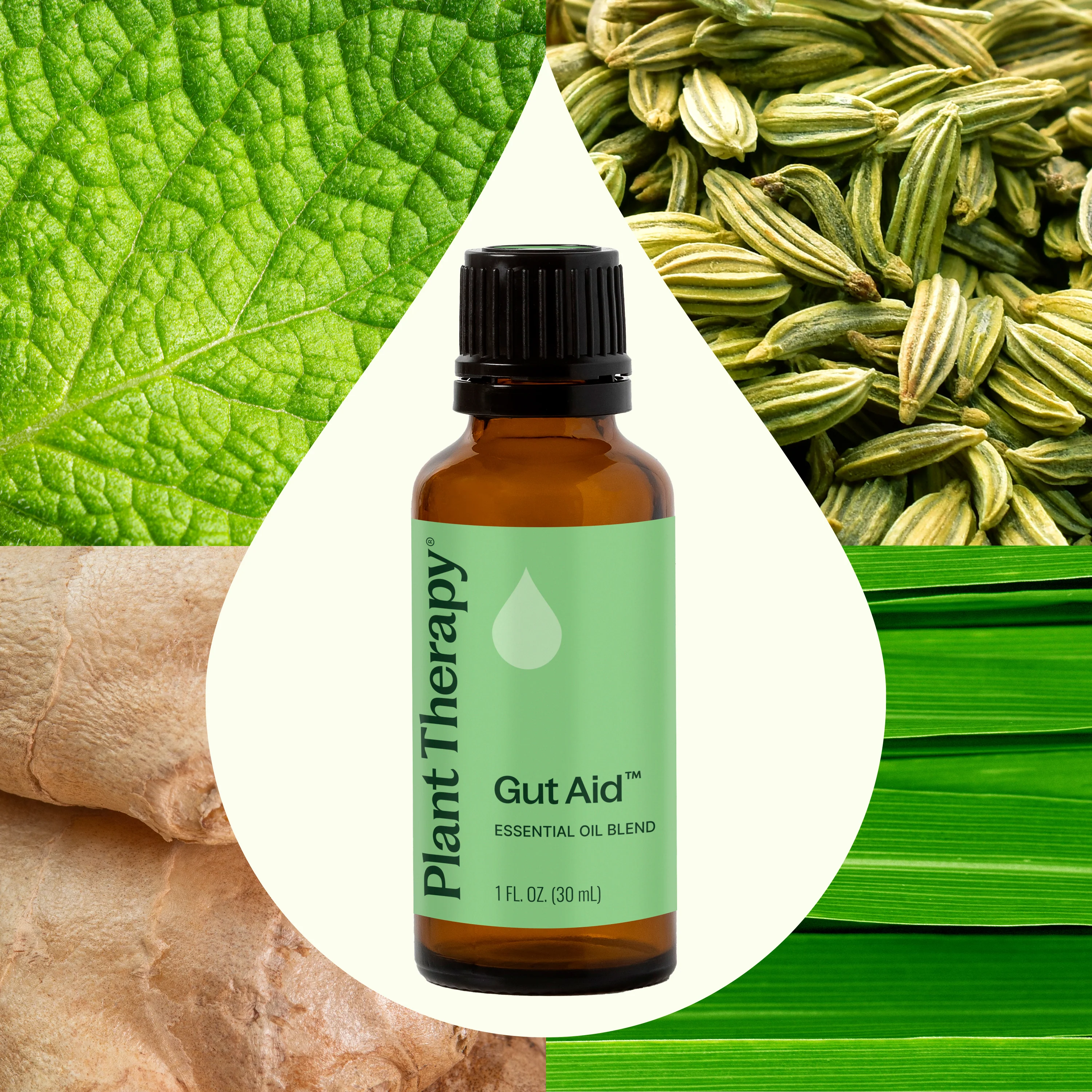 Gut Aid™ Essential Oil Blend - Image 8