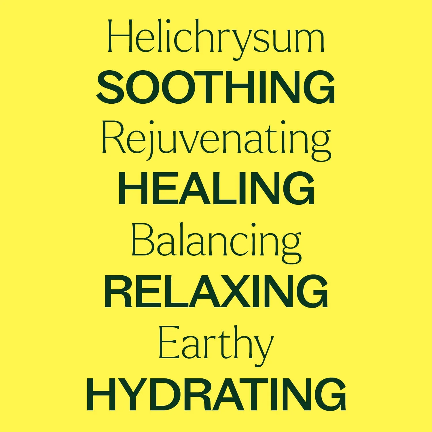 Helichrysum Hydrosol - Image 5