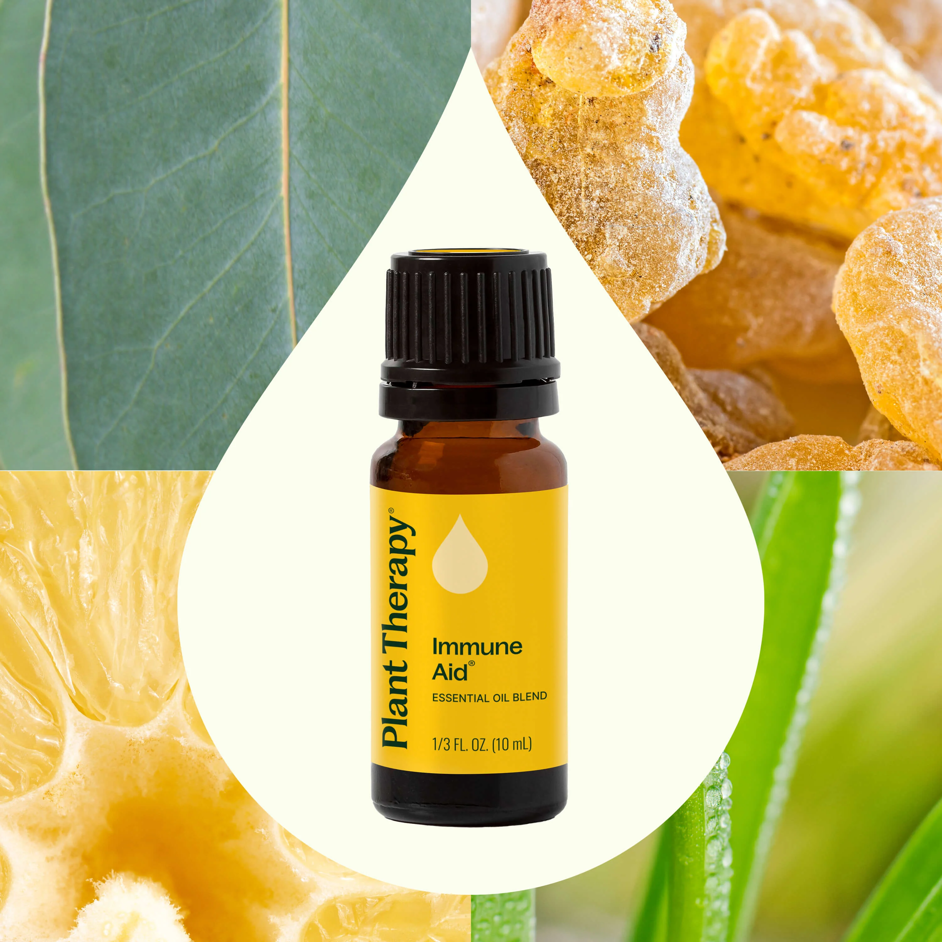 Immune Aid Essential Oil Blend - Image 5